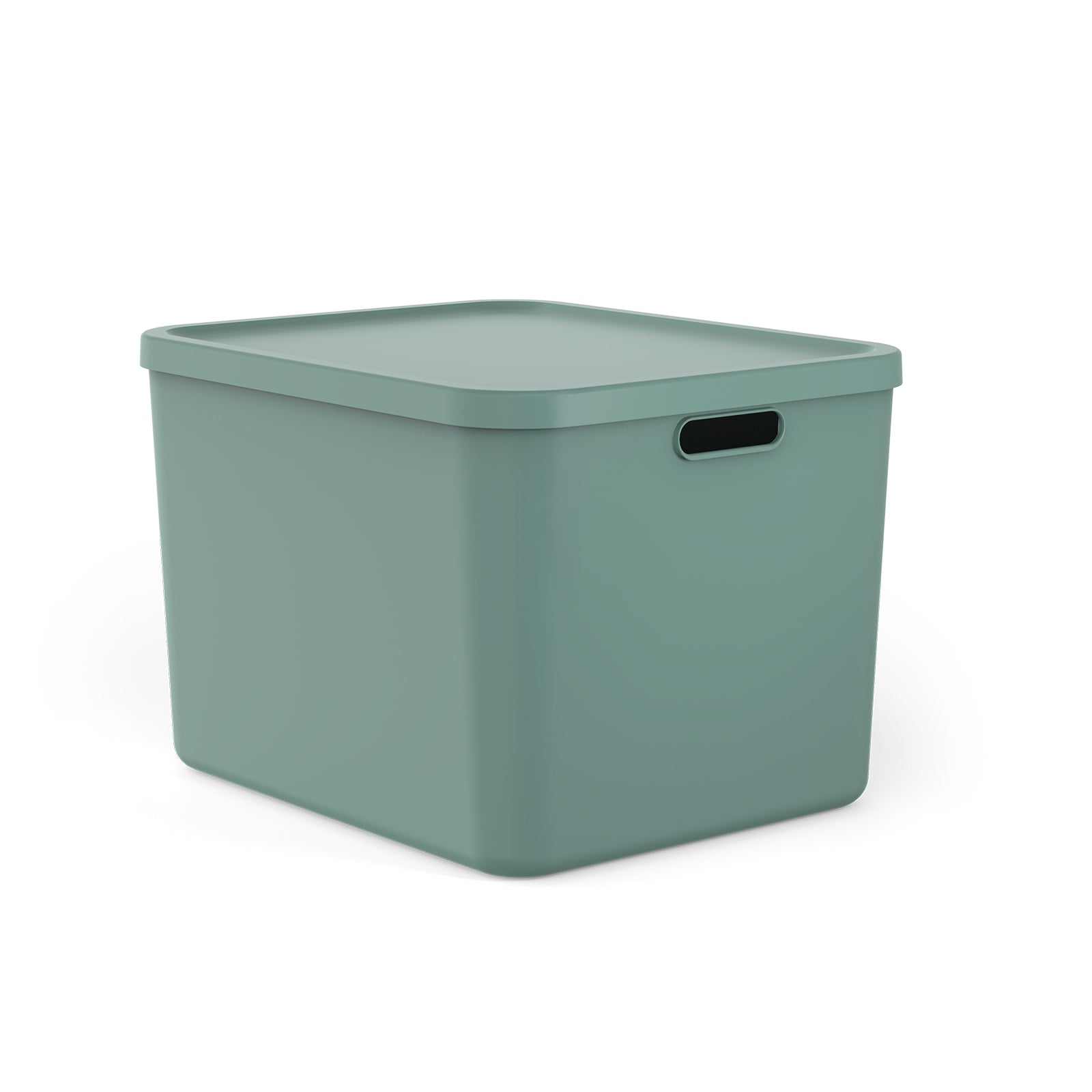 rotho-albula-multibox-55l-aufbewahrungsbox-anthrazit image 7