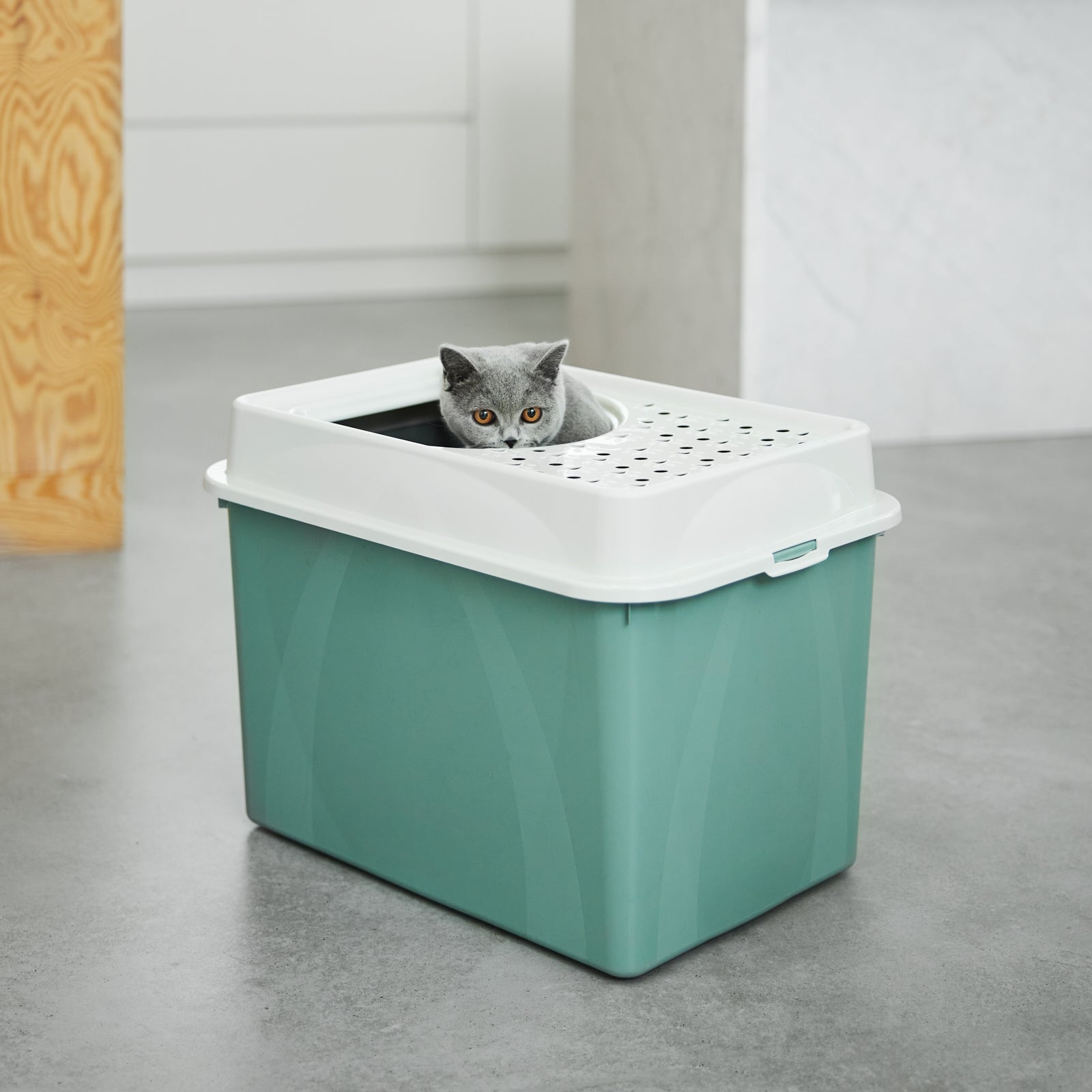 rotho-berty-katzentoilette-top-einstieg-schwarz-f-r-gro-e-katzen image 5
