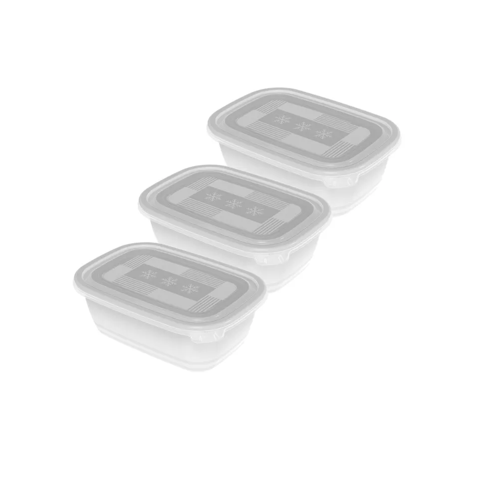 rotho-freeze-gefrierdose-1-l-3er-set-transparent image 1