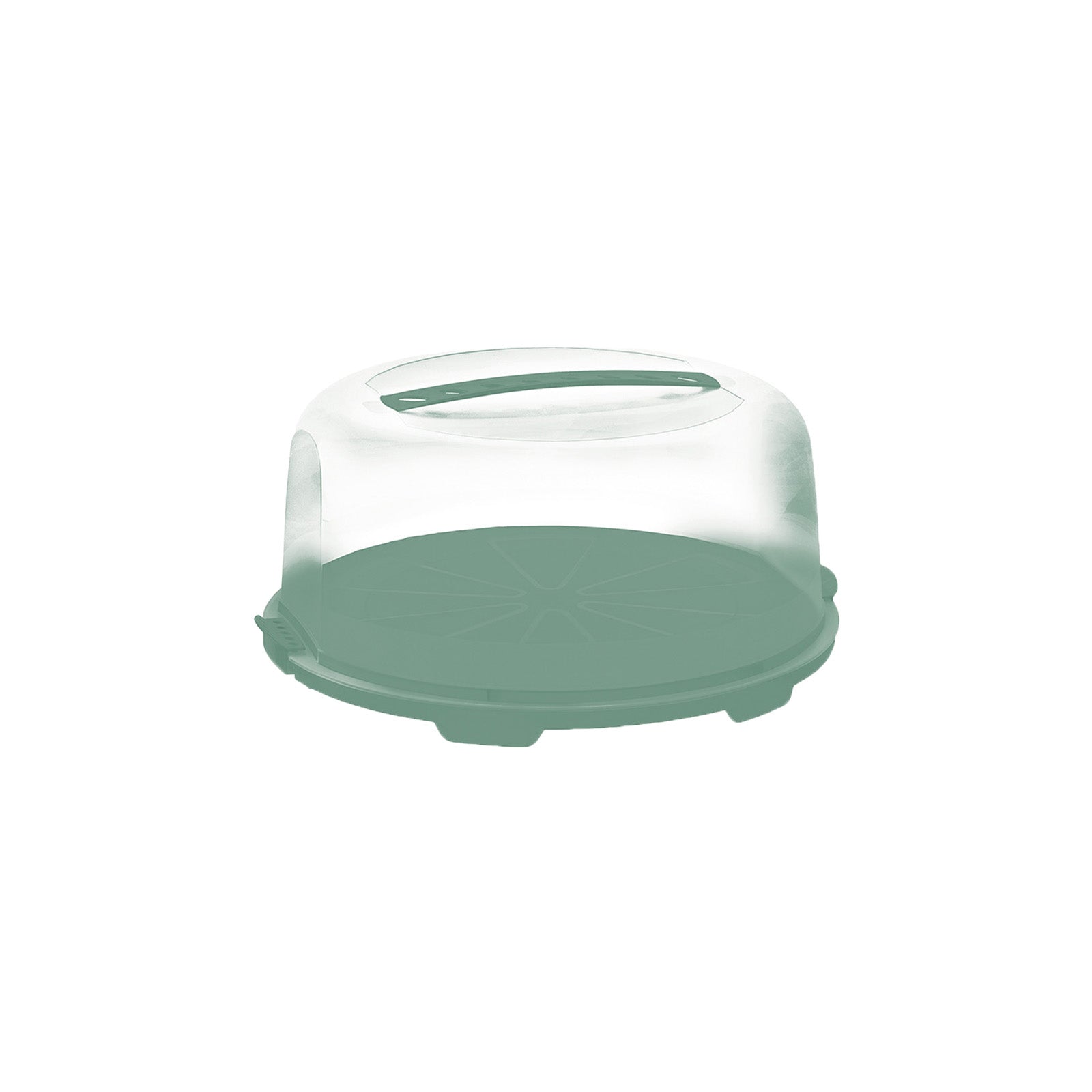 rotho-fresh-tortenglocke-hoch-wei-tortenbox-mit-griff image 3