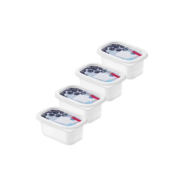rotho-domino-gefrierdosen-0-2-l-horizontblau-4er-set-bpa-frei image 1