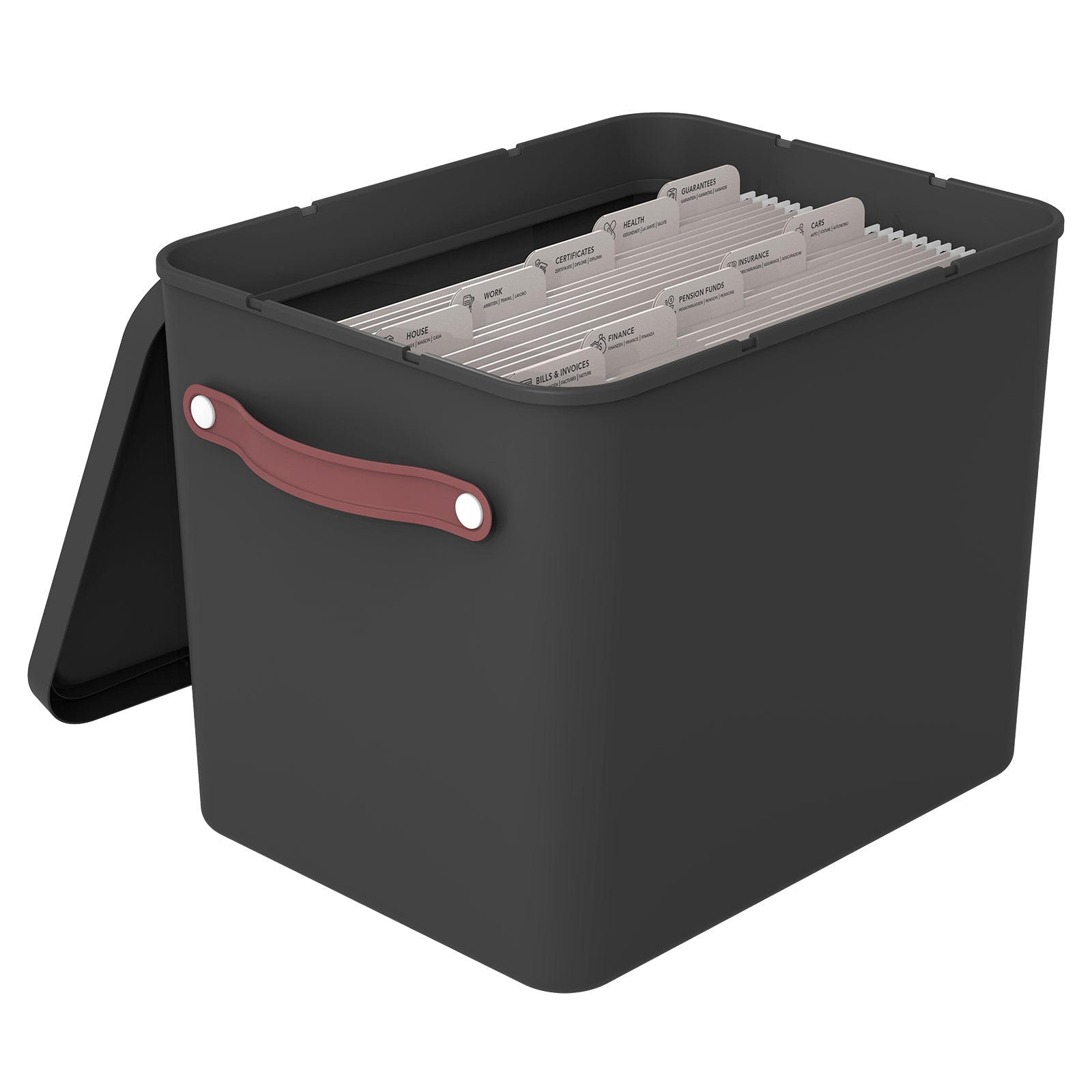rotho-my-paper-plus-archivbox-din-a4-mistelwei-mit-mappen image 5