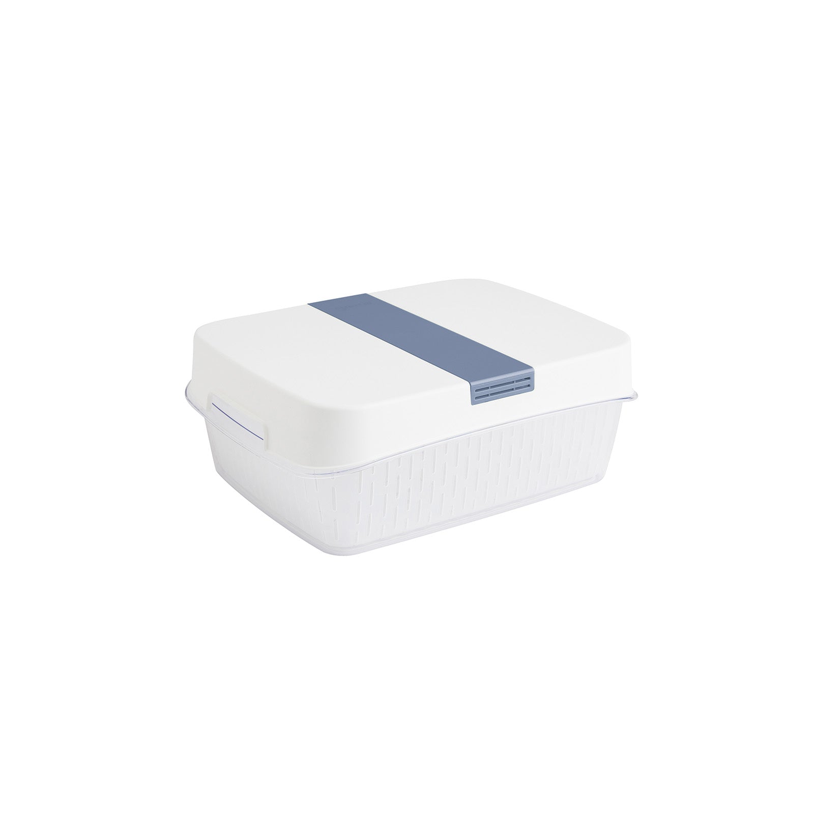 rotho-dynamic-fresh-box-6-4-l-frischhaltebox-horizontblau image 2