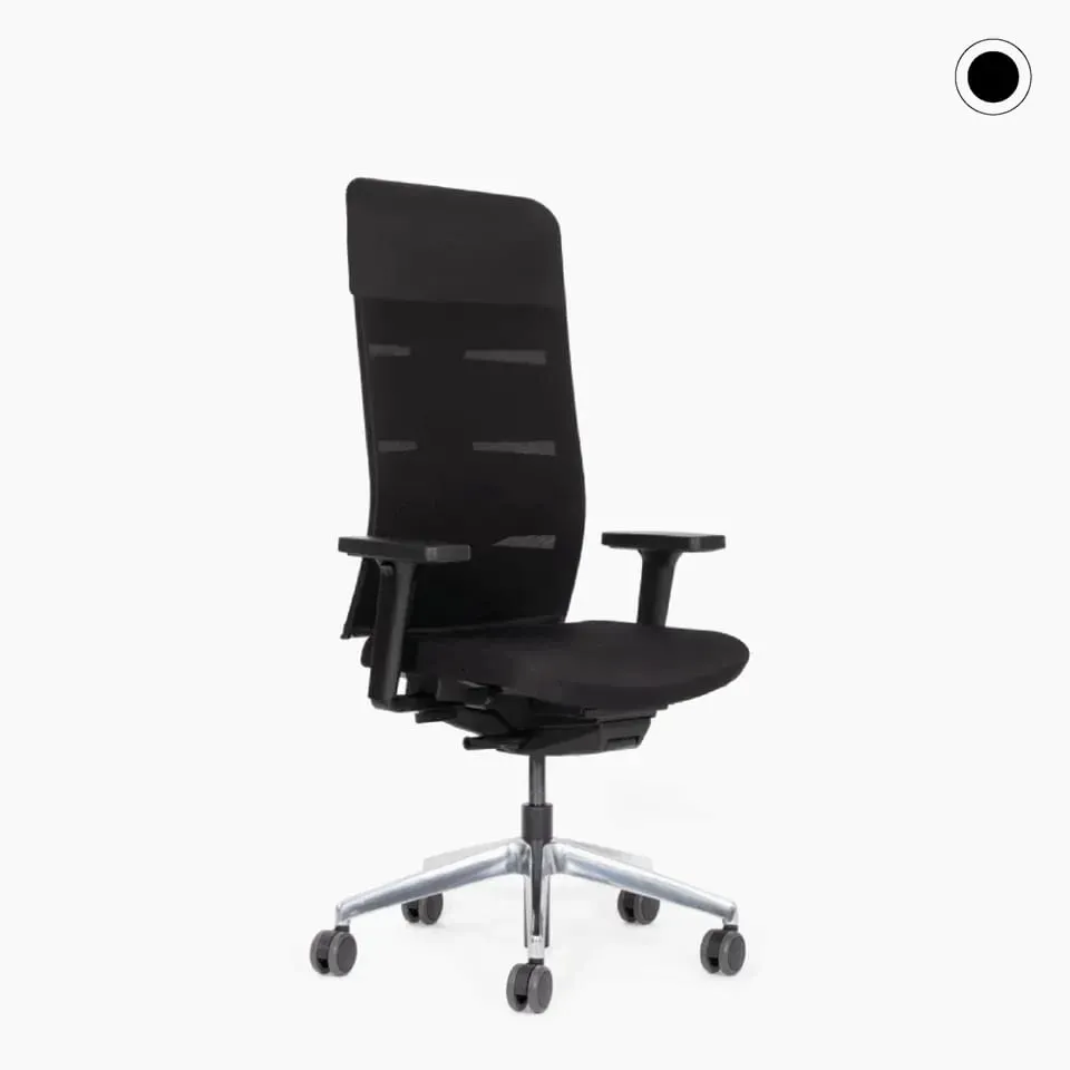 lento-agilis-matrix-start-up-ergonomischer-b-rostuhl-alu image 1