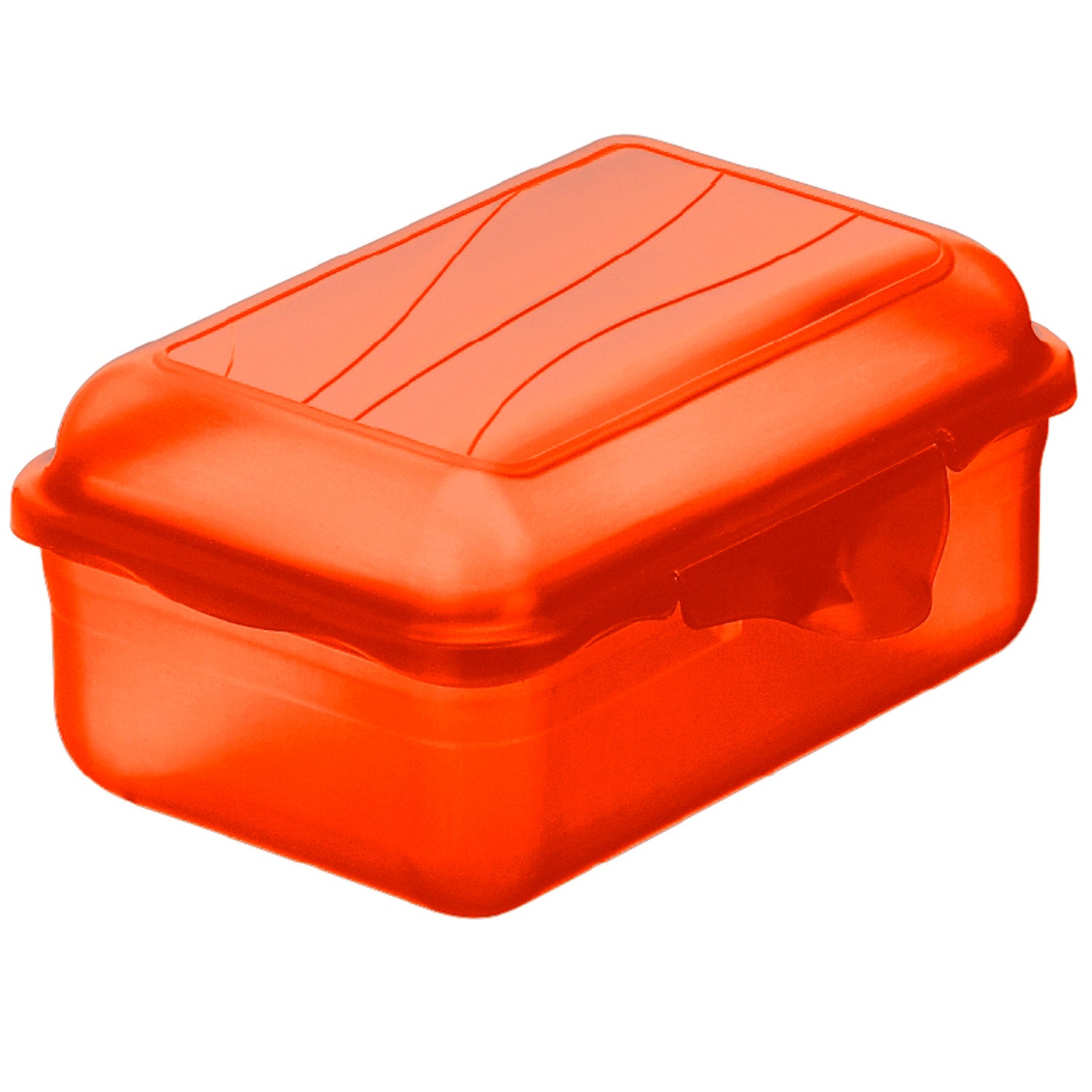 rotho-fun-box-0-4-l-lunchbox-horizontblau image 4