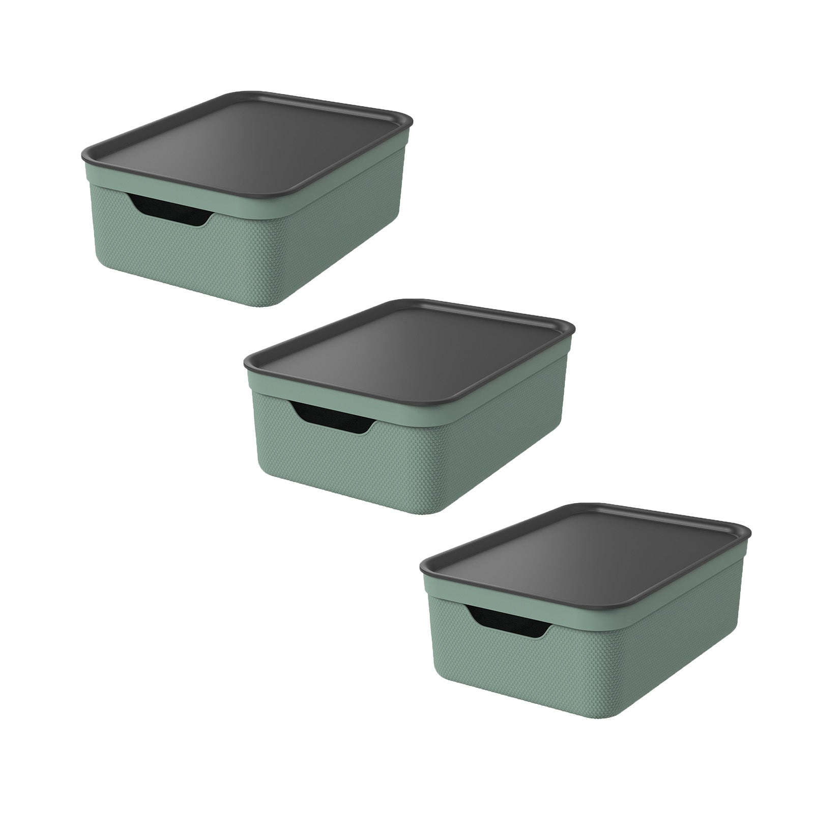 rotho-jive-deko-box-a4-10-l-mistelwei-mit-deckel-stapelbar image 4