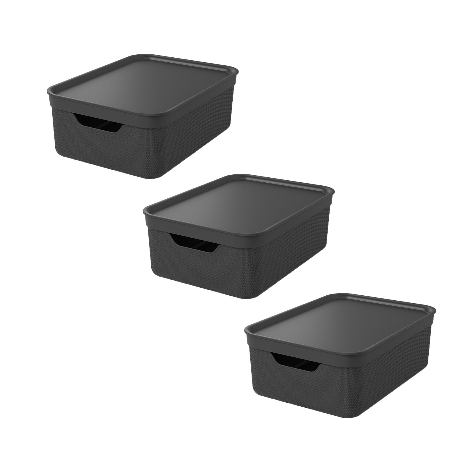 rotho-jive-deko-box-a4-10-l-mistelwei-mit-deckel-stapelbar image 2