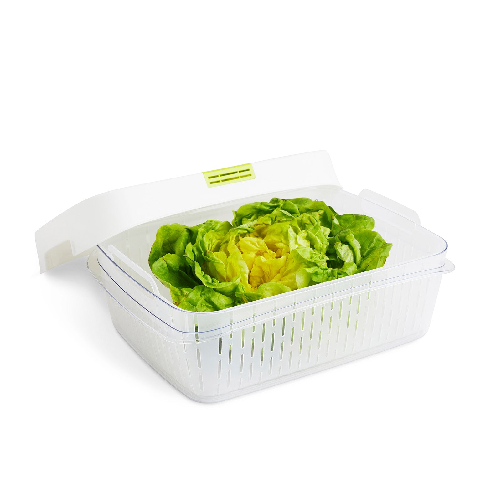 rotho-dynamic-fresh-box-6-4-l-frischhaltebox-horizontblau image 4