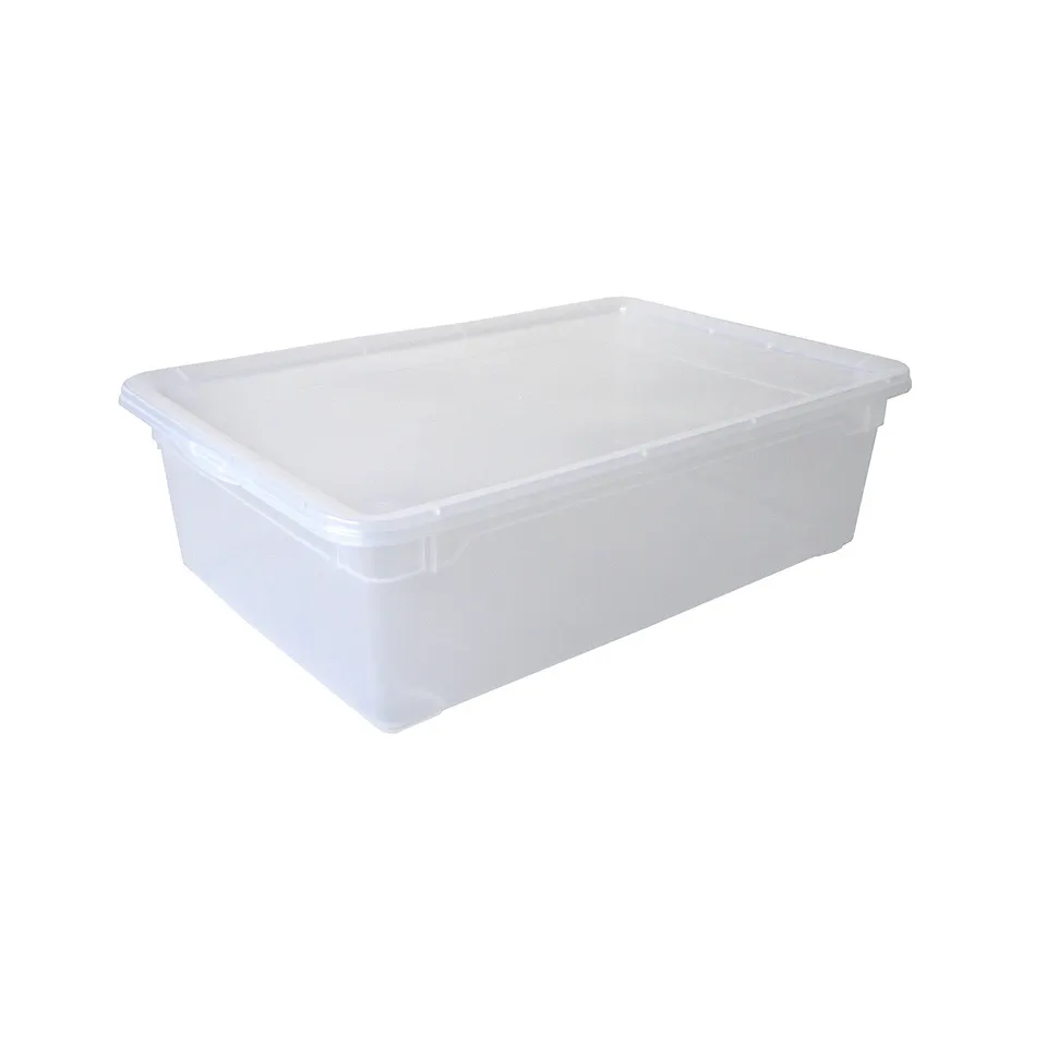 rotho-boots-clear-aufbewahrungsbox-22-l-transparent-mit-deckel image 1