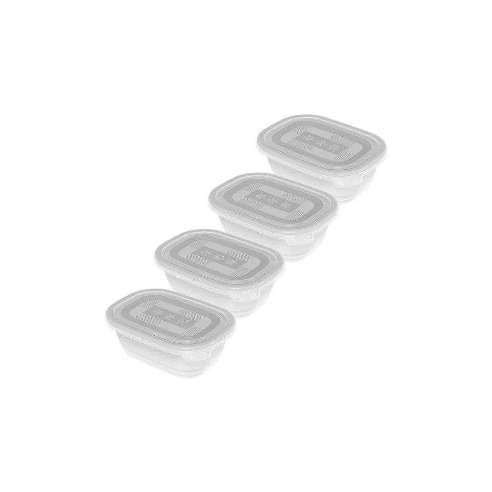 rotho-freeze-gefrierdose-0-5l-4er-set-transparent image 1