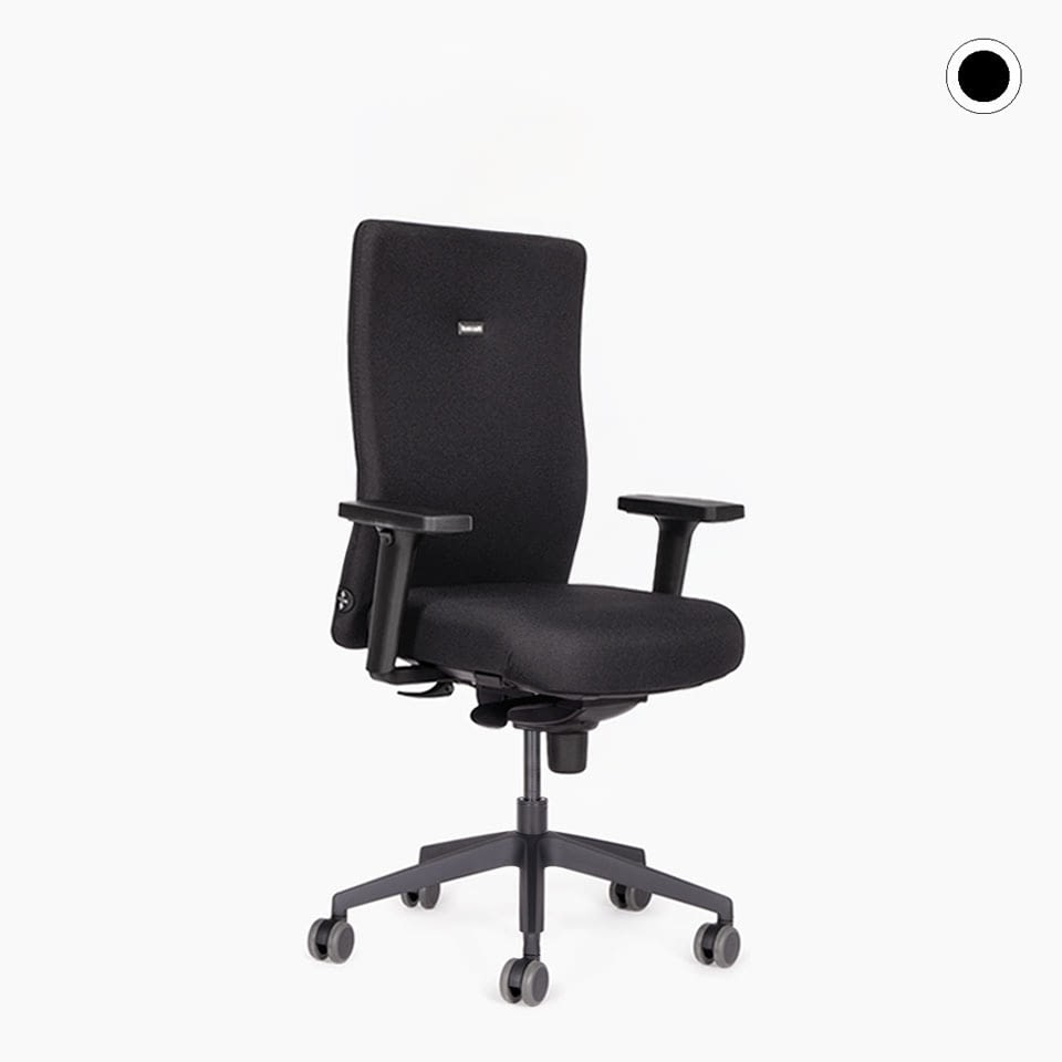 lento-agilis-start-up-b-rostuhl-ergonomisch-schwarz-mit-kopfst-tze image 1
