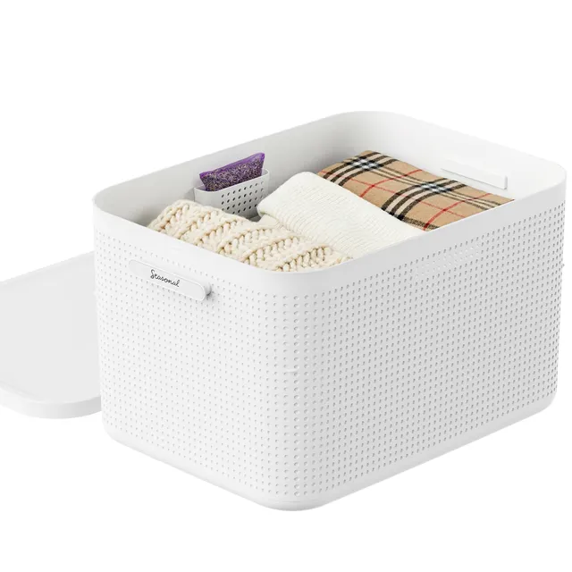 rotho-wop-kleiderschrank-organizer-box-l-mistletoe-wei image 1