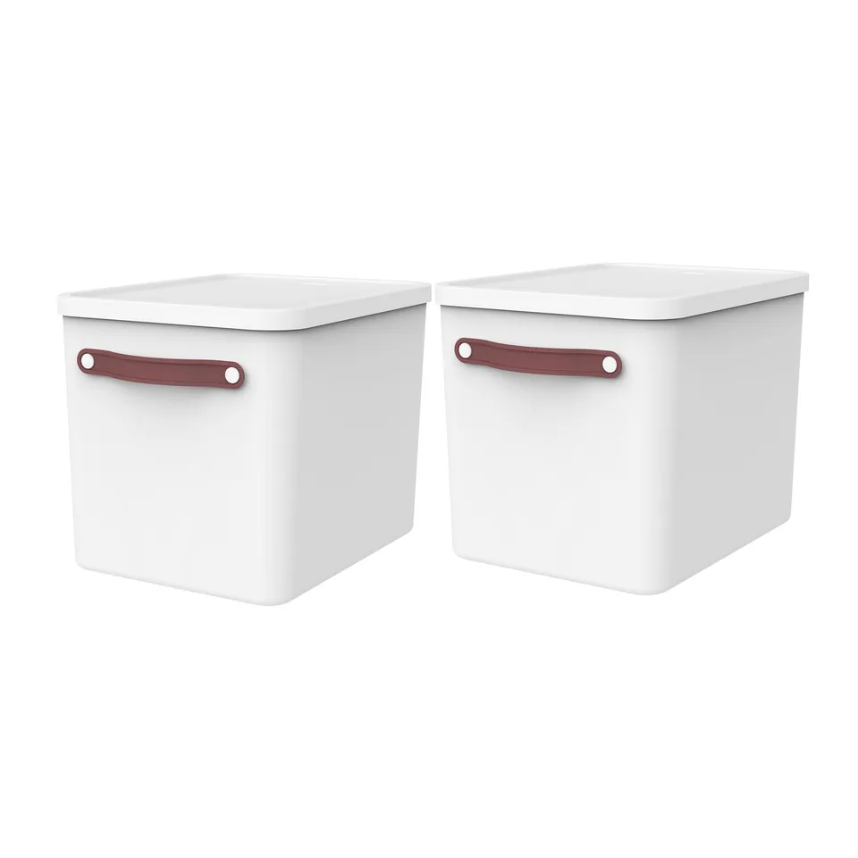 rotho-my-paper-plus-archivbox-2er-set-a4-mistelwei-karton image 1