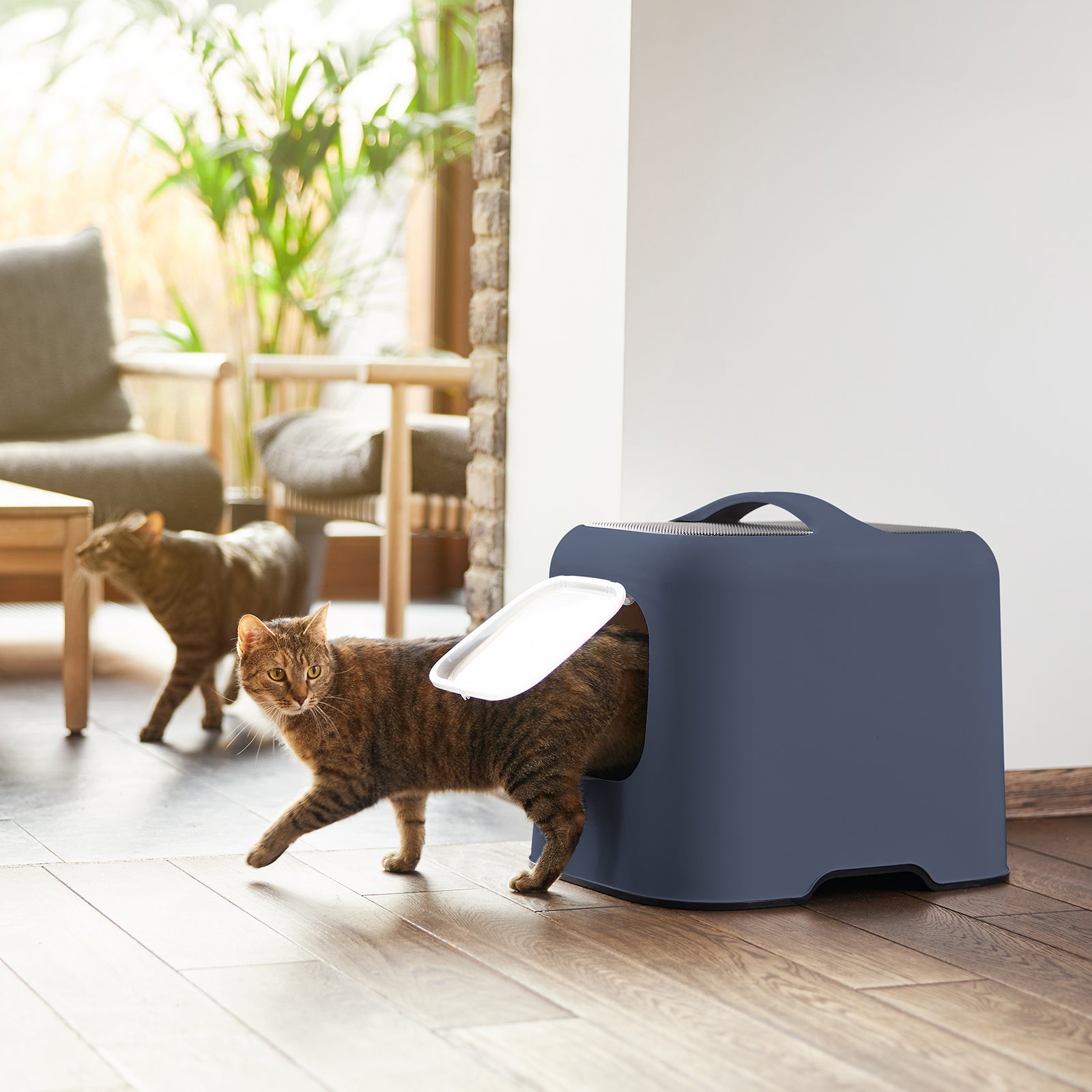 rotho-bea-splashguard-pro-katzentoilette-navy-blue-mit-haube image 2