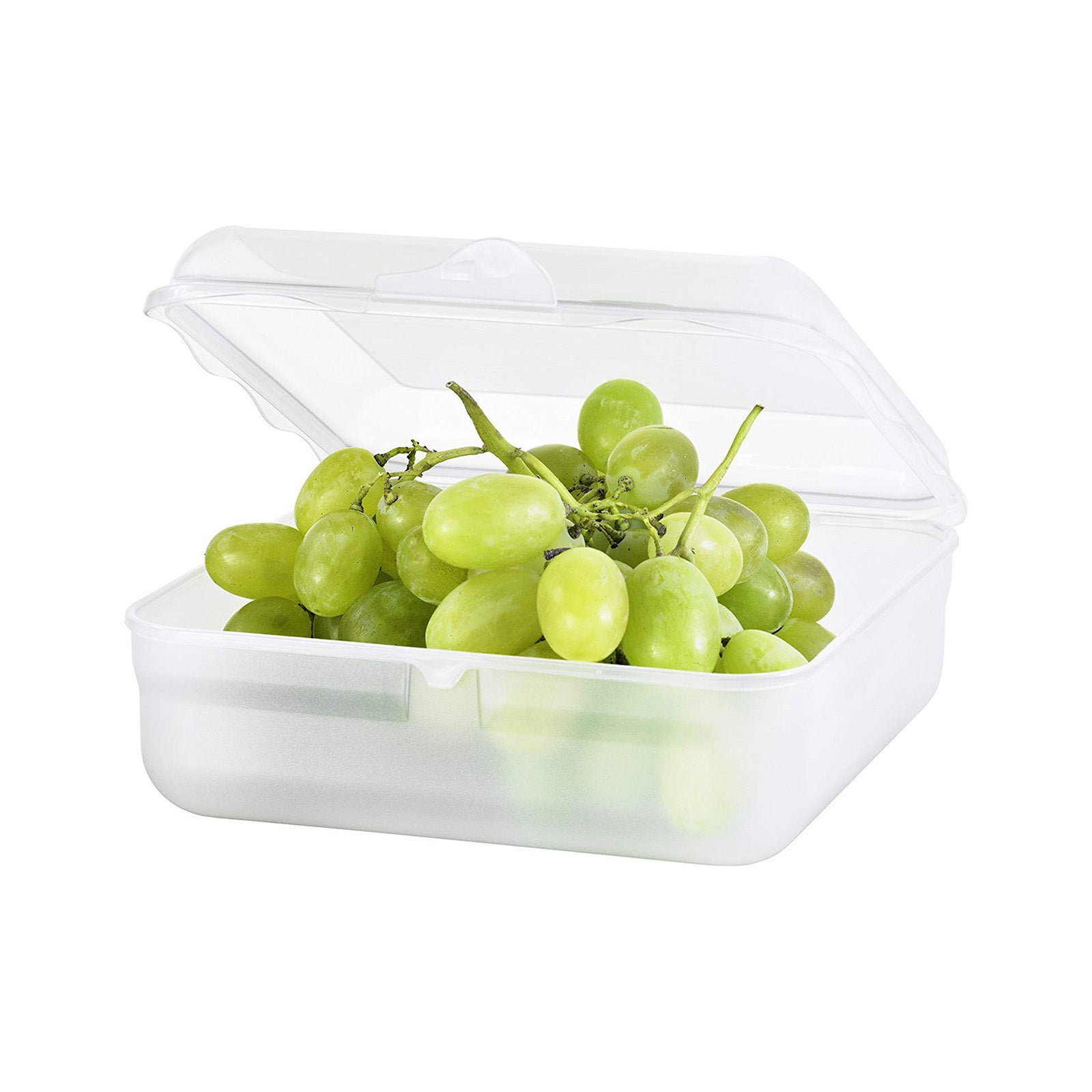 rotho-fun-funbox-2-35-l-lunchbox-horizontblau-mit-clip image 4