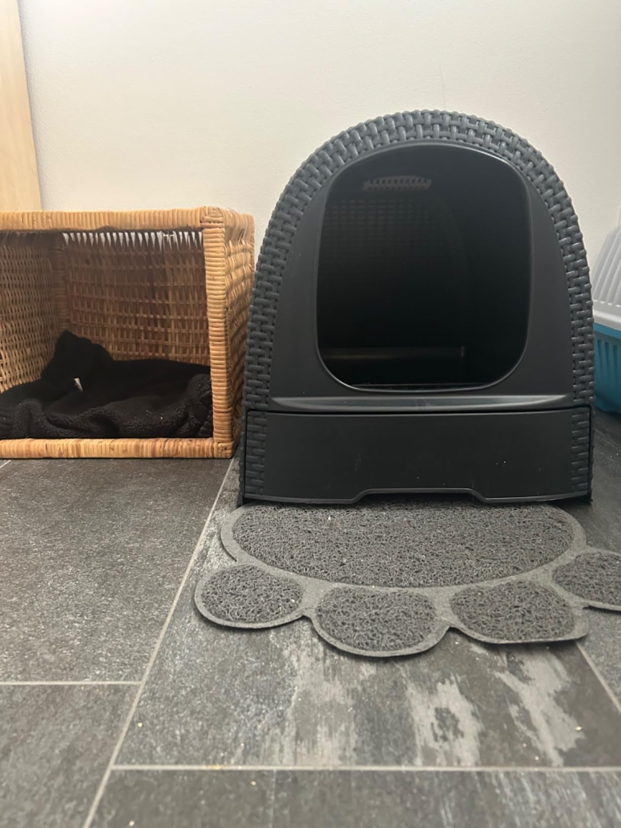Katze mags