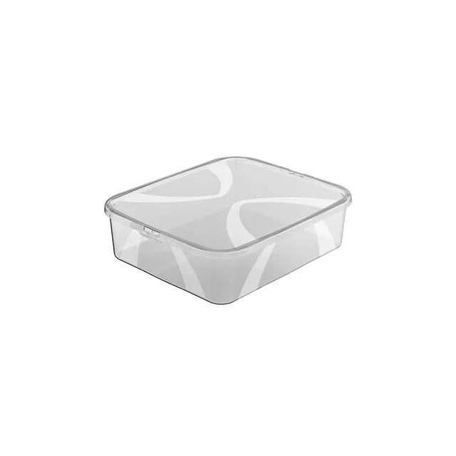 rotho-lona-box-12-l-mit-deckel-aufbewahrungsbox-transparent image 1