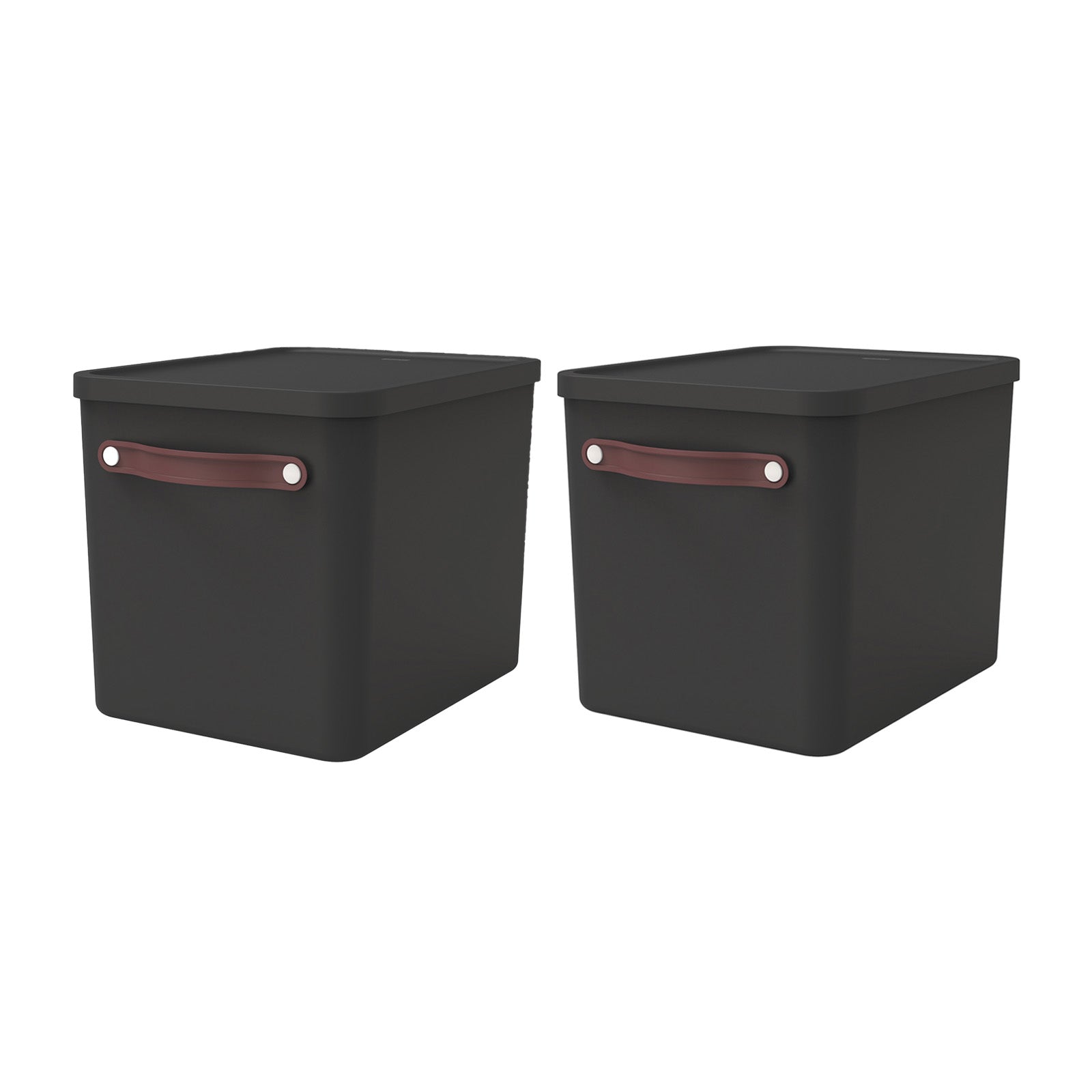 rotho-my-paper-plus-archivbox-2er-set-a4-mistelwei-karton image 6