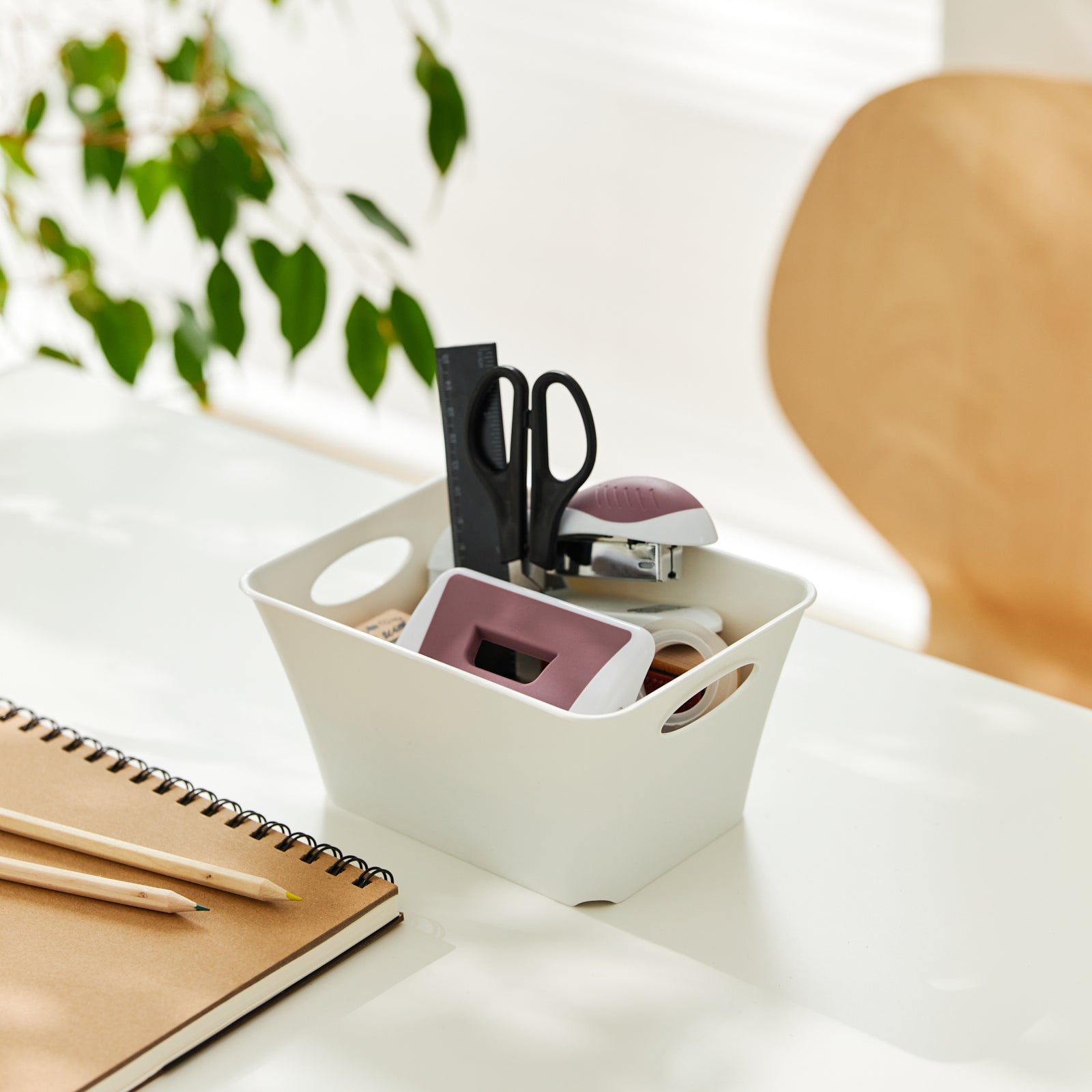 rotho-living-box-1-5-l-aufbewahrungsbox-anthrazit-mit-griff image 3
