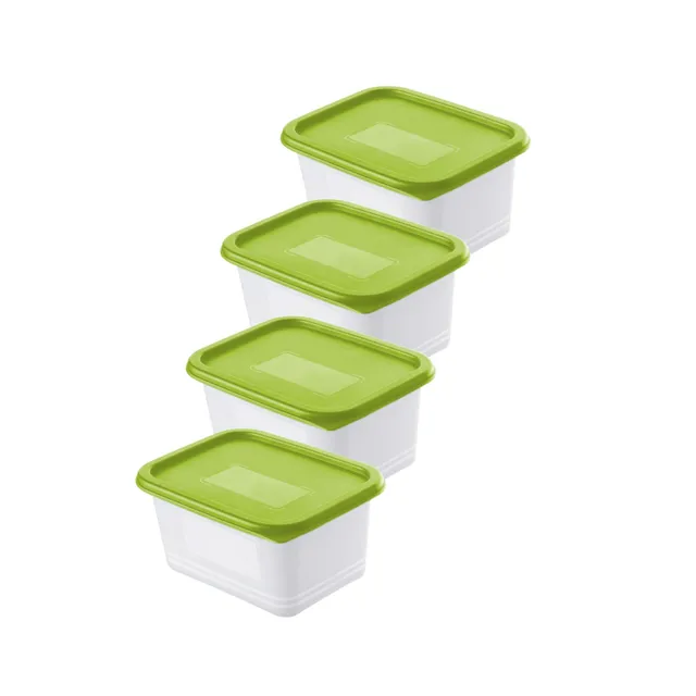 rotho-domino-gefrierdosen-4er-set-0-75-l-horizontblau-bpa-frei image 1