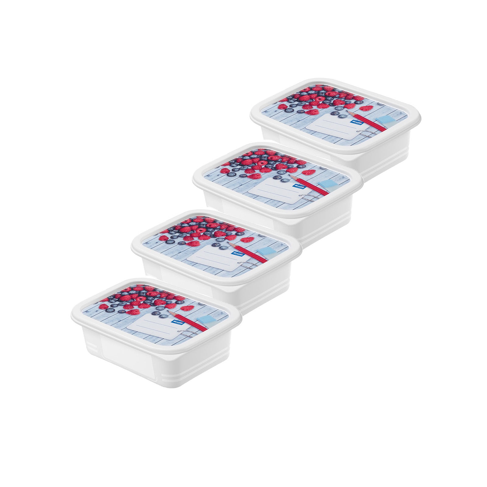 rotho-domino-gefrierdosen-4x-0-5-l-horizontblau-bpa-frei image 2