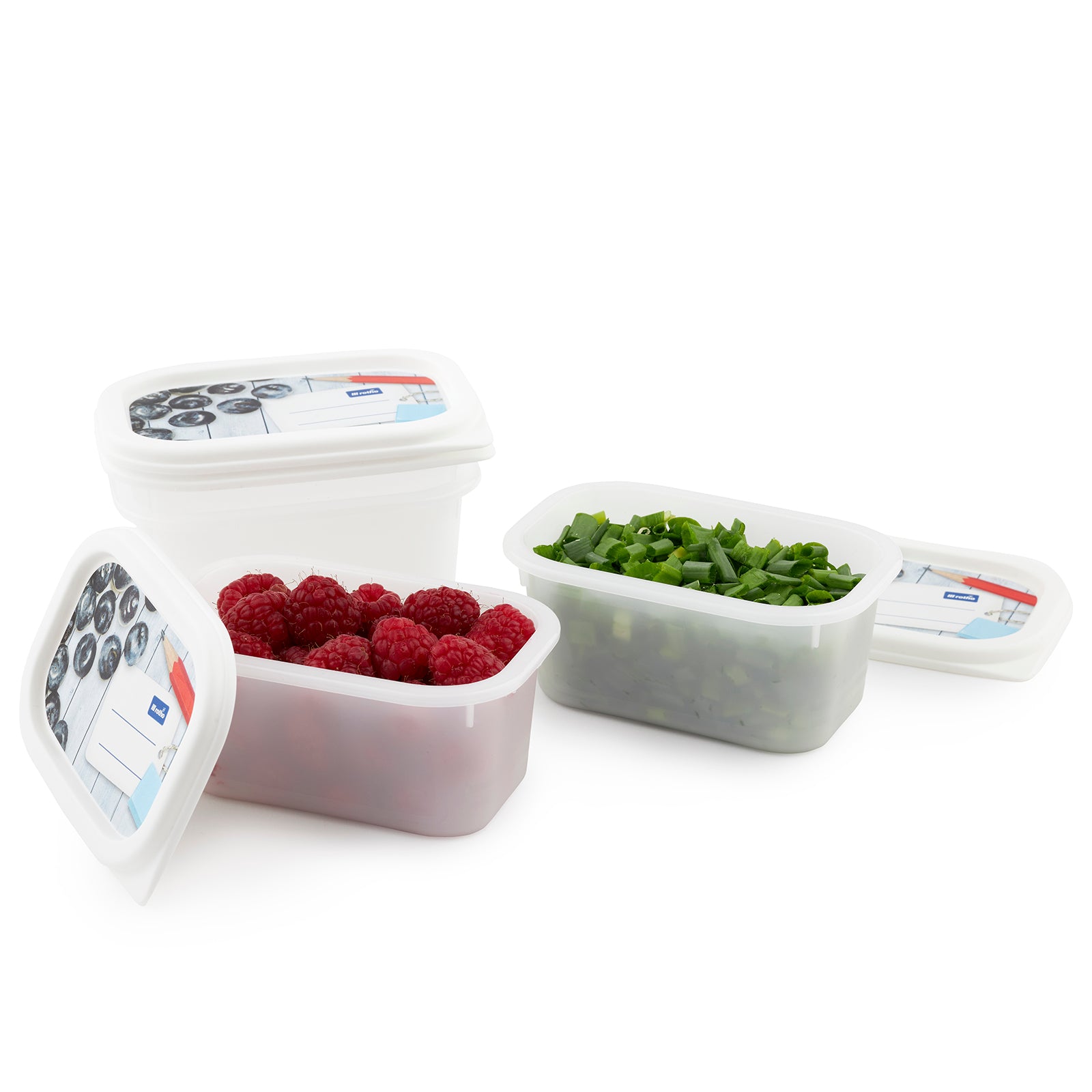 rotho-domino-gefrierdosen-0-2-l-horizontblau-4er-set-bpa-frei image 4