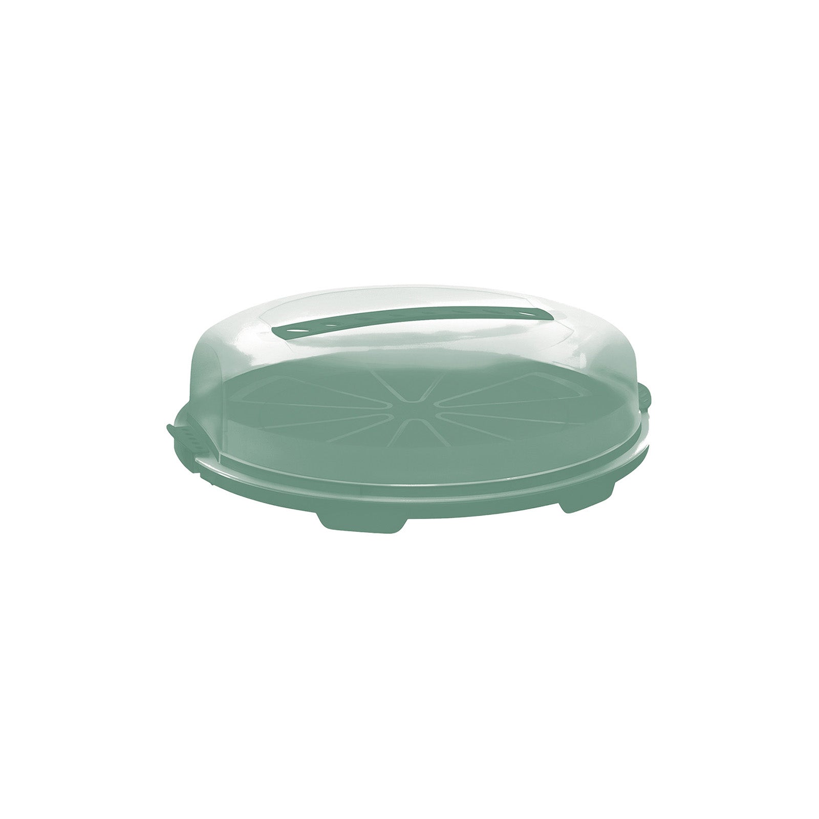 rotho-fresh-tortenglocke-flach-tortenbox-wei image 7