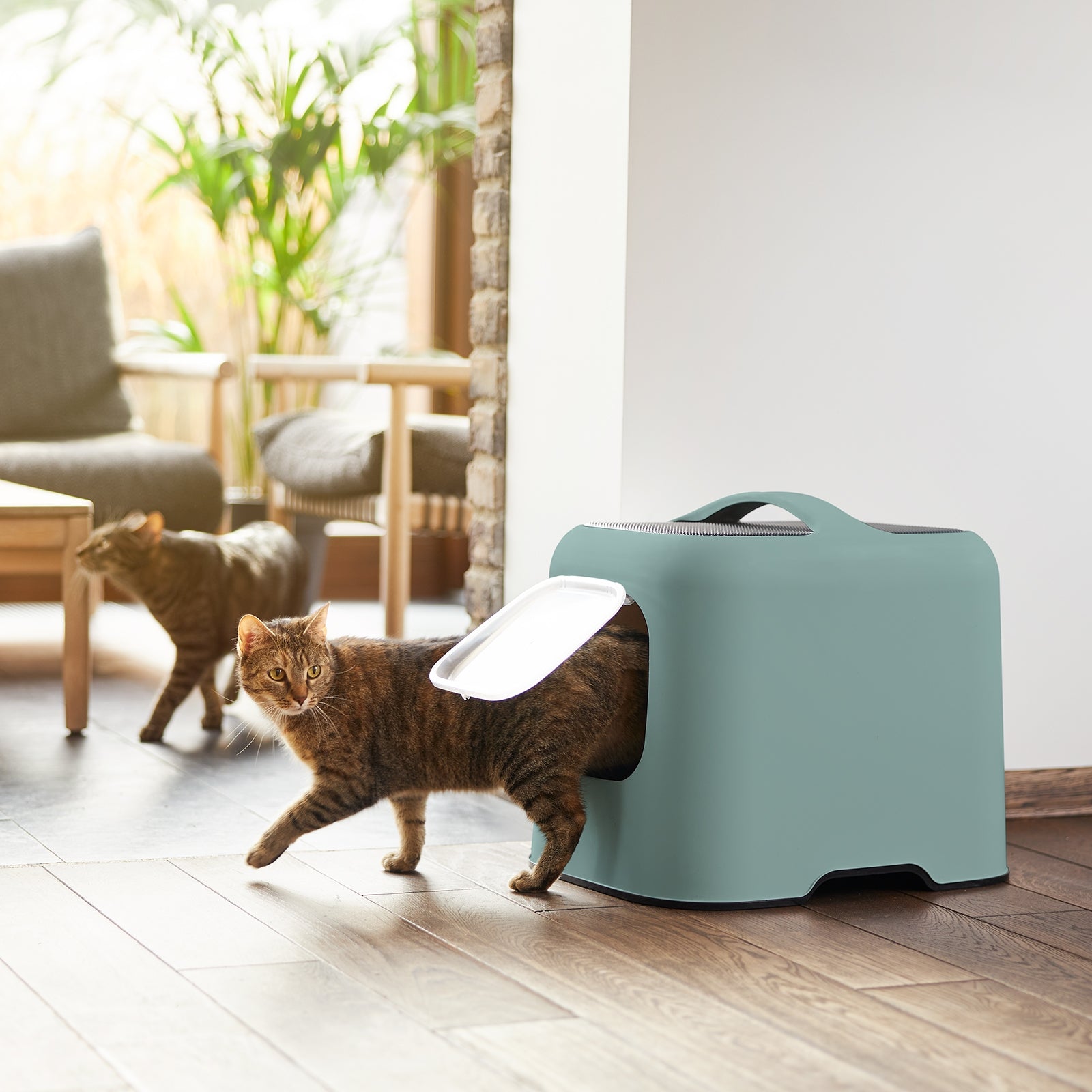 rotho-biala-katzentoilette-mit-haube-cappuccino-mit-schaufel image 7