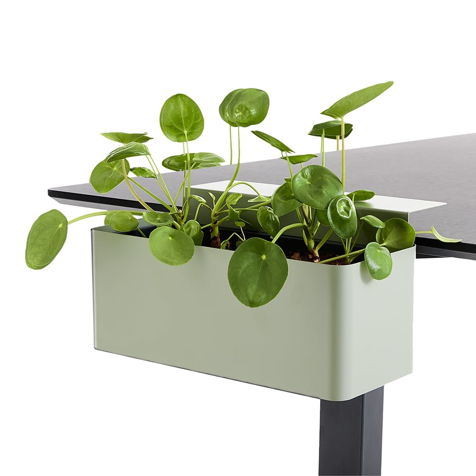 lento-schreibtisch-zubeh-r-blumenbox-mit-tischklemmen-stahl image 2