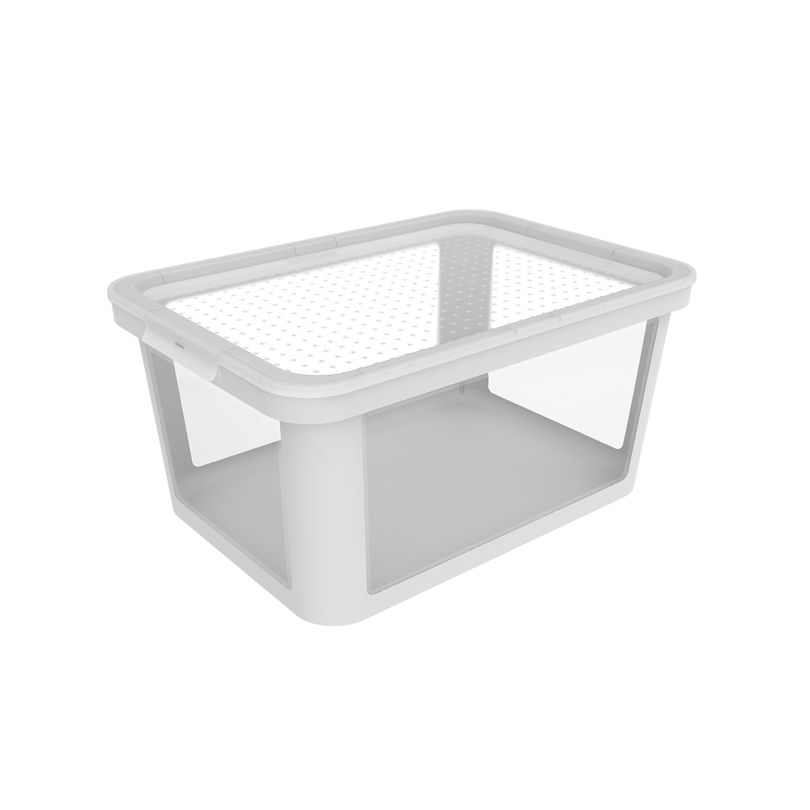 rotho-albris-box-mit-deckel-45-l-mistelwei-transparent image 3