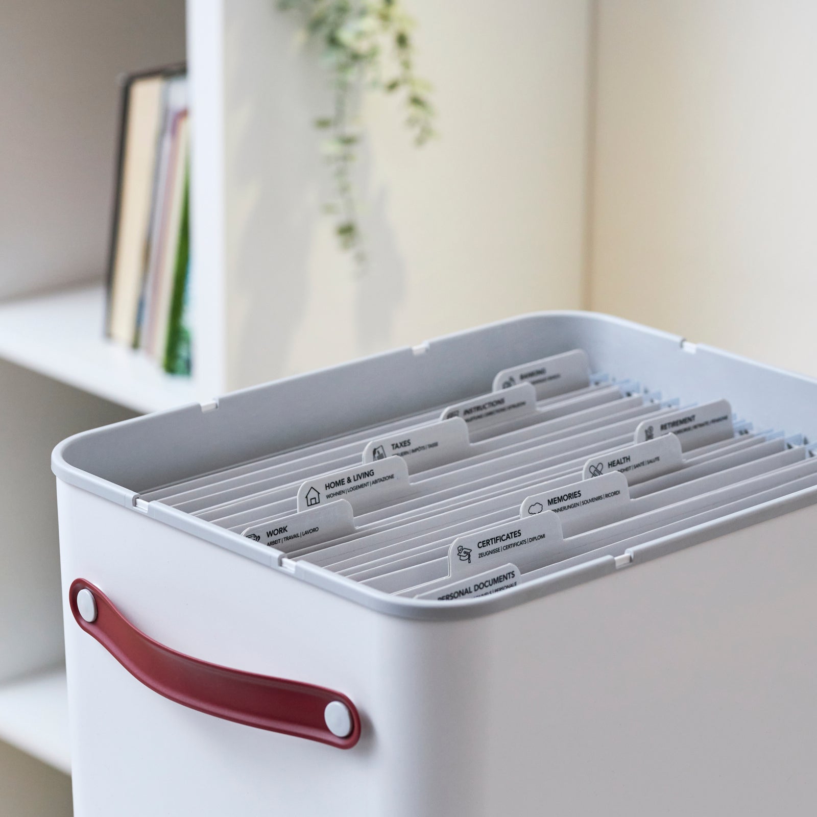 rotho-my-paper-plus-archivbox-2er-set-a4-mistelwei-karton image 3