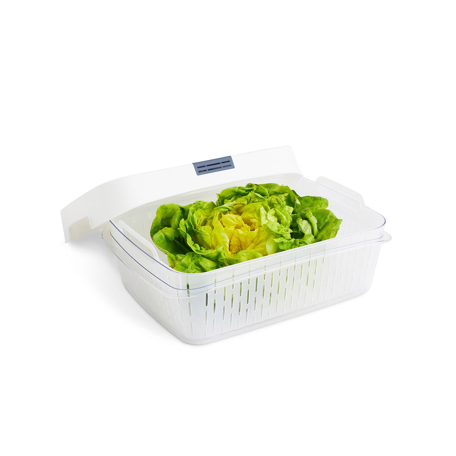 rotho-dynamic-fresh-box-6-4-l-frischhaltebox-horizontblau image 7