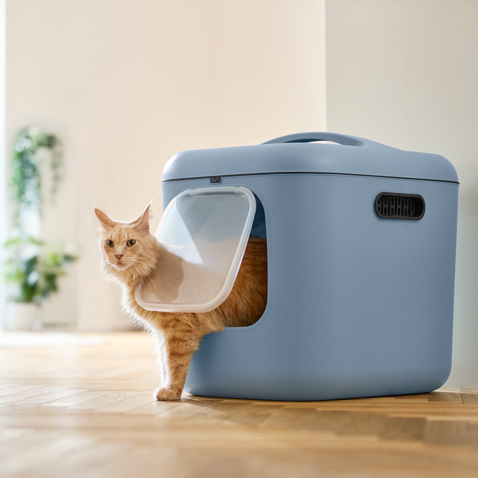 rotho-biala-katzentoilette-xl-mistelwei-mit-filtern image 8
