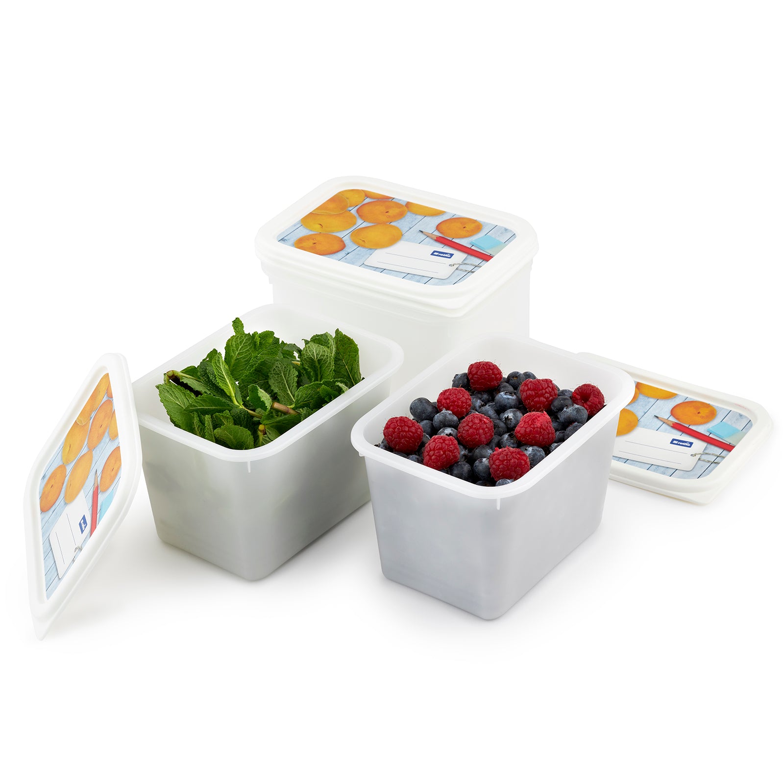 rotho-domino-gefrierdose-1-l-motiv-4er-set-bpa-frei image 4