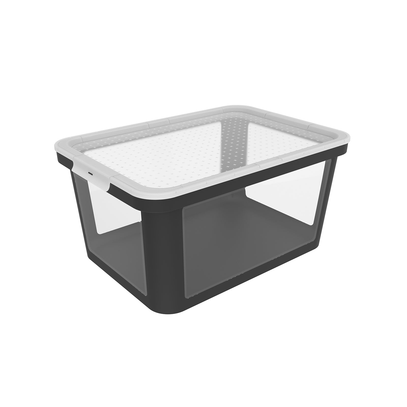rotho-albris-box-mit-deckel-45-l-mistelwei-transparent image 8