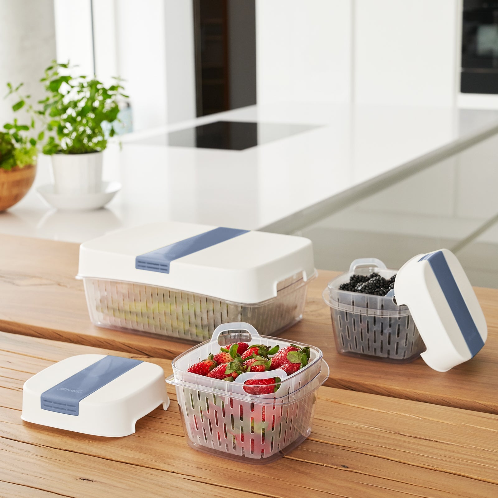 rotho-dynamic-box-fresh-frischhaltebox-1-6-l-horizontblau image 4