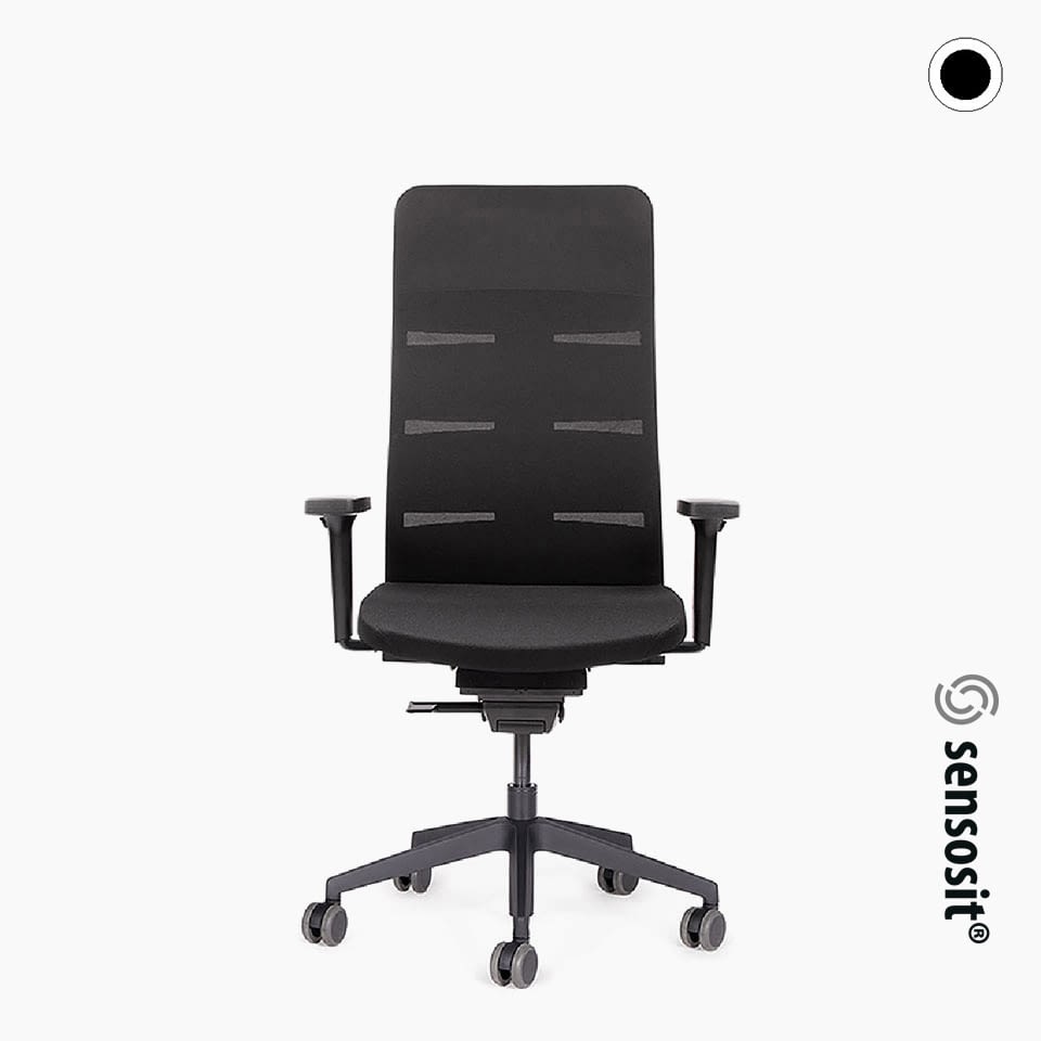 lento-agilis-matrix-eco-b-rostuhl-schwarz-mit-netzr-cken image 1