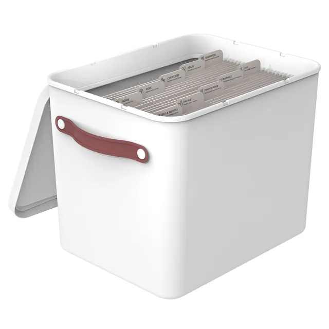 rotho-my-paper-plus-archivbox-din-a4-mistelwei-mit-mappen image 1