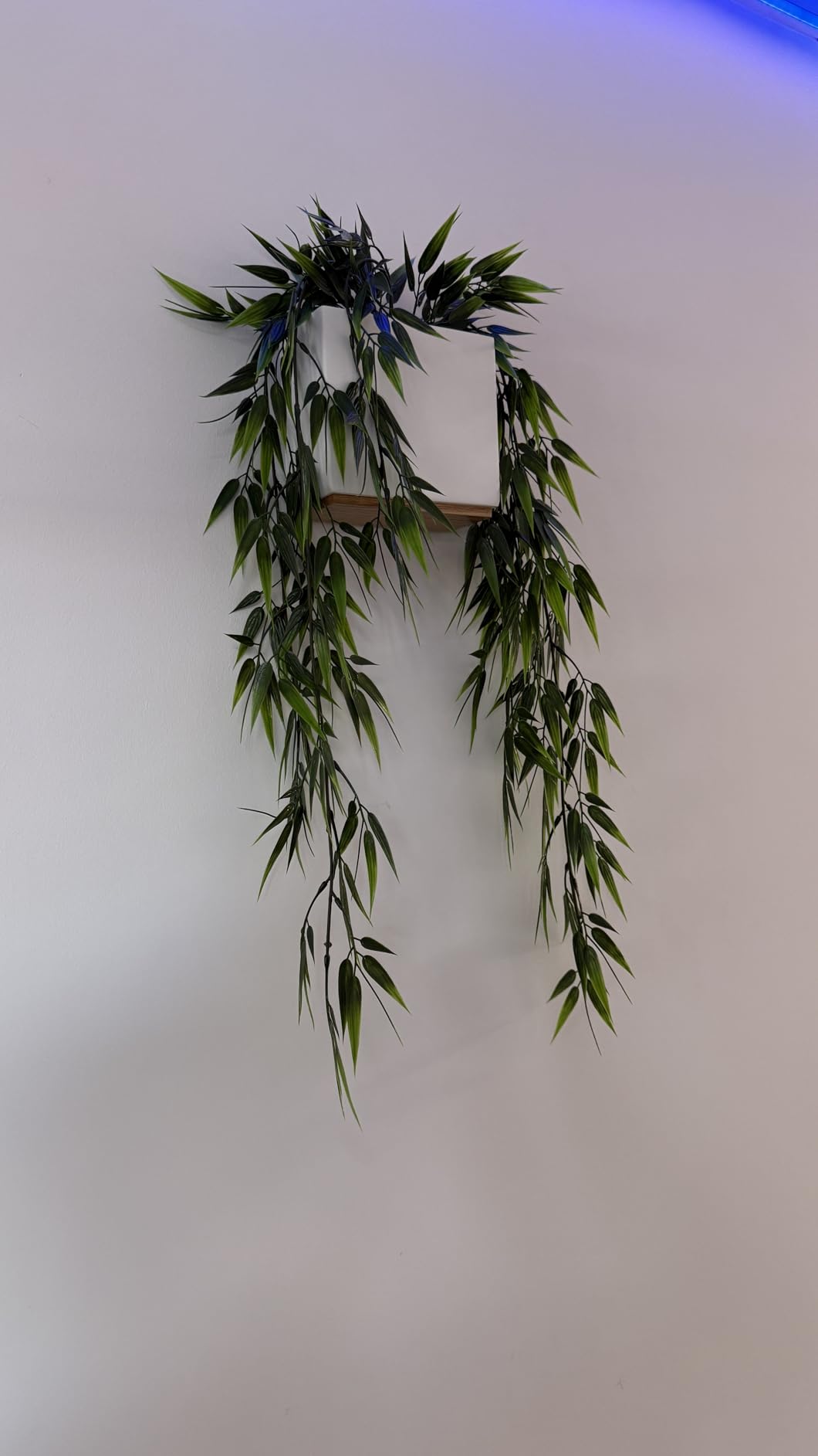 Geschenkidee