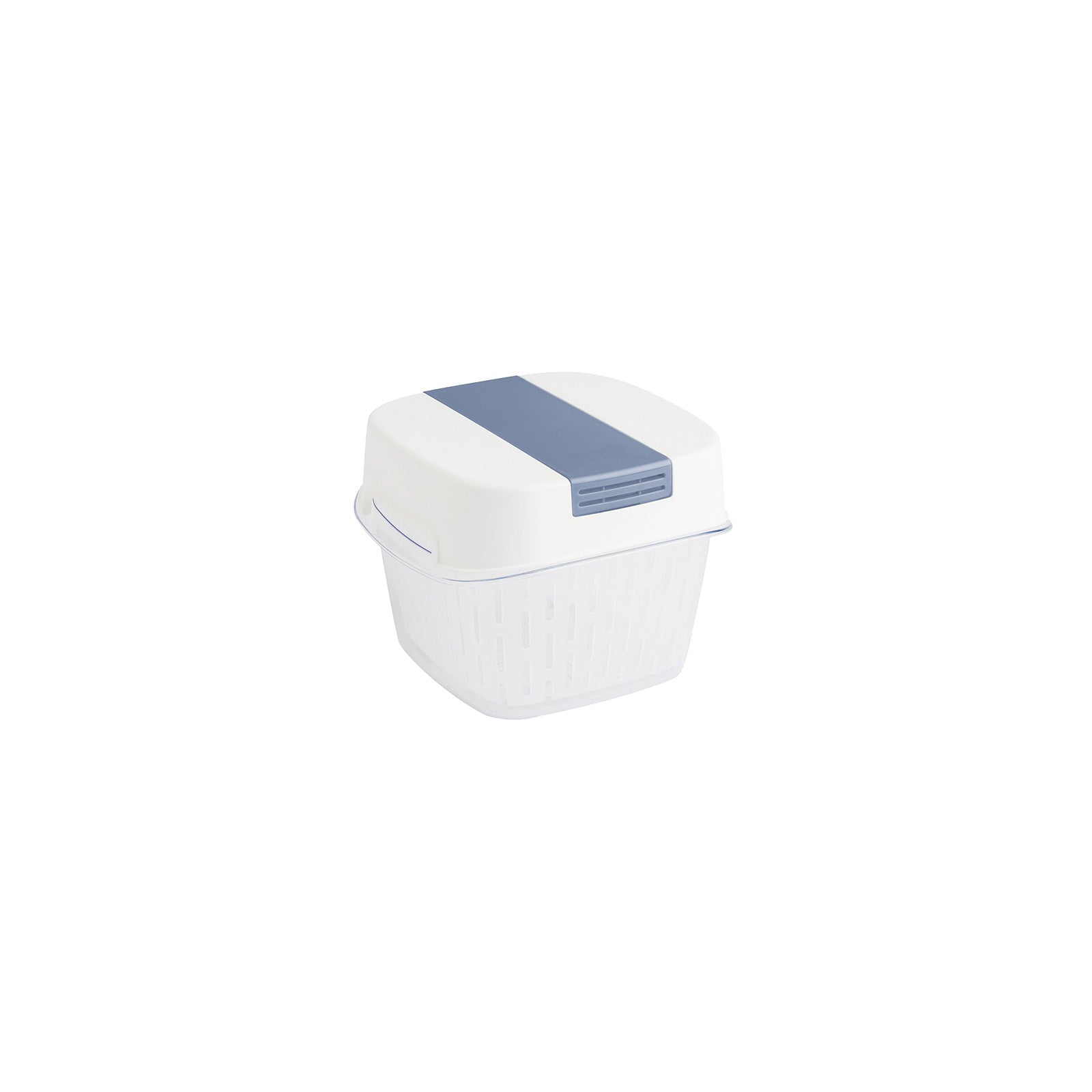 rotho-dynamic-box-fresh-frischhaltebox-1-6-l-horizontblau image 2