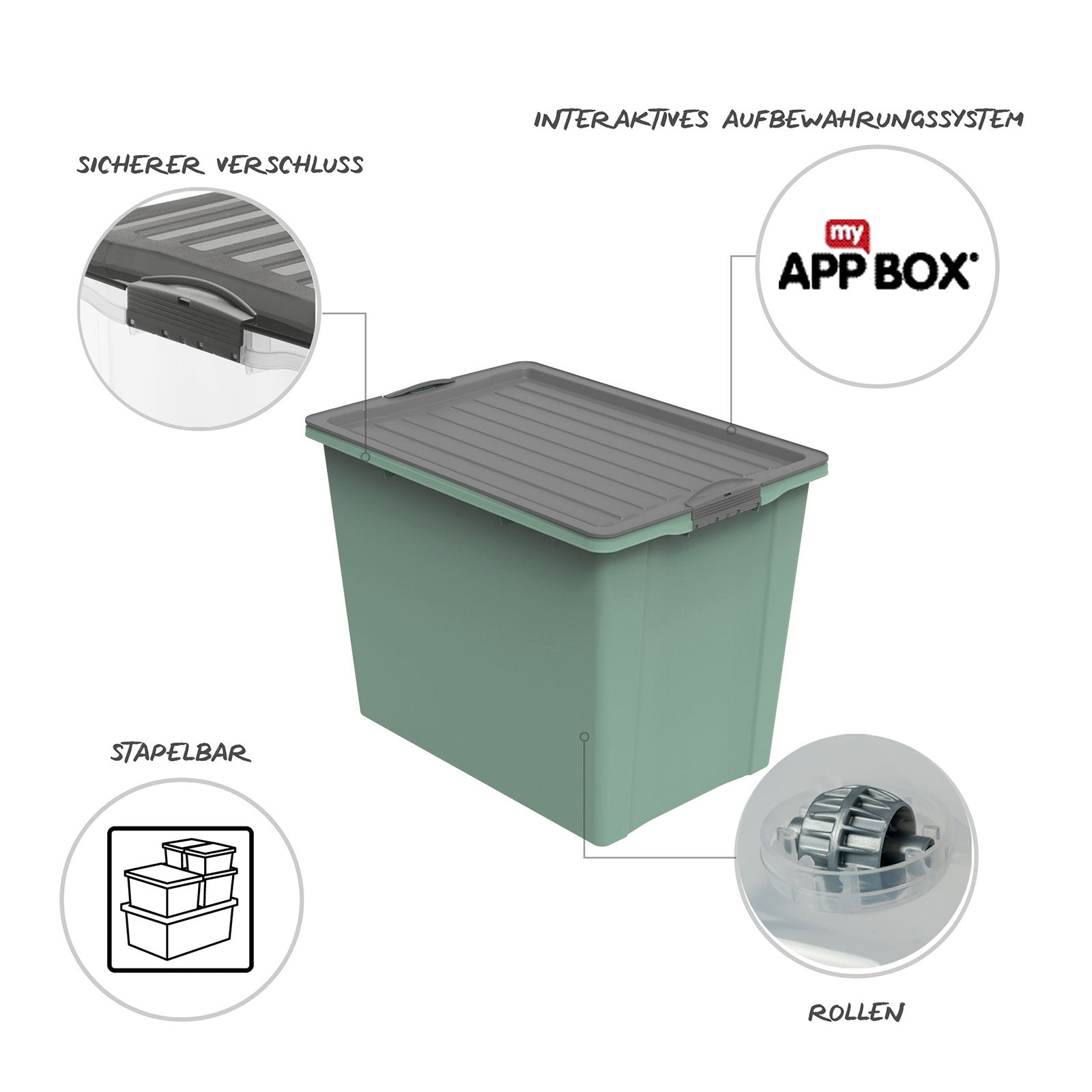 rotho-compact-eco-stapelbox-70l-din-a3-aufbewahrungsbox-gr-n image 5