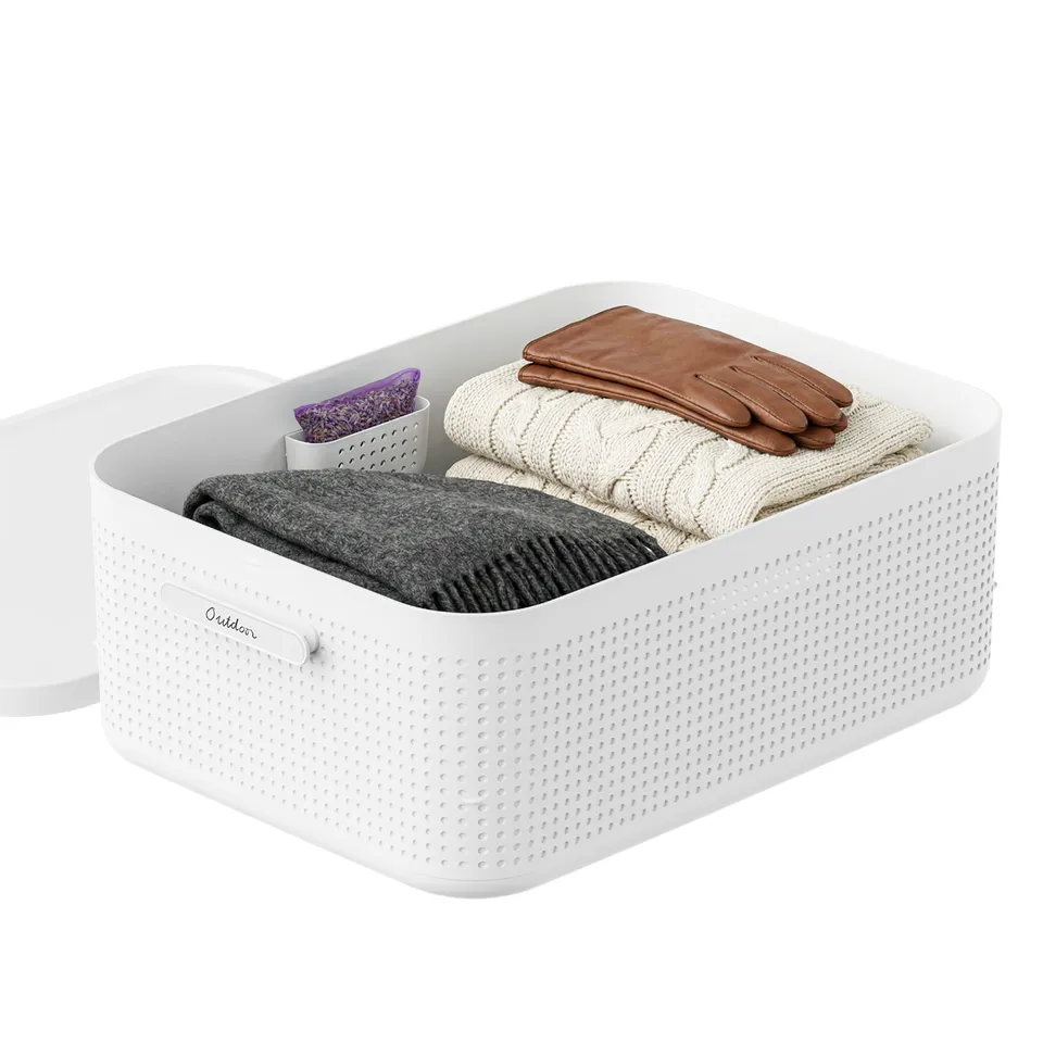 rotho-wop-kleiderschrank-organizer-box-m-mistletoe-white image 1