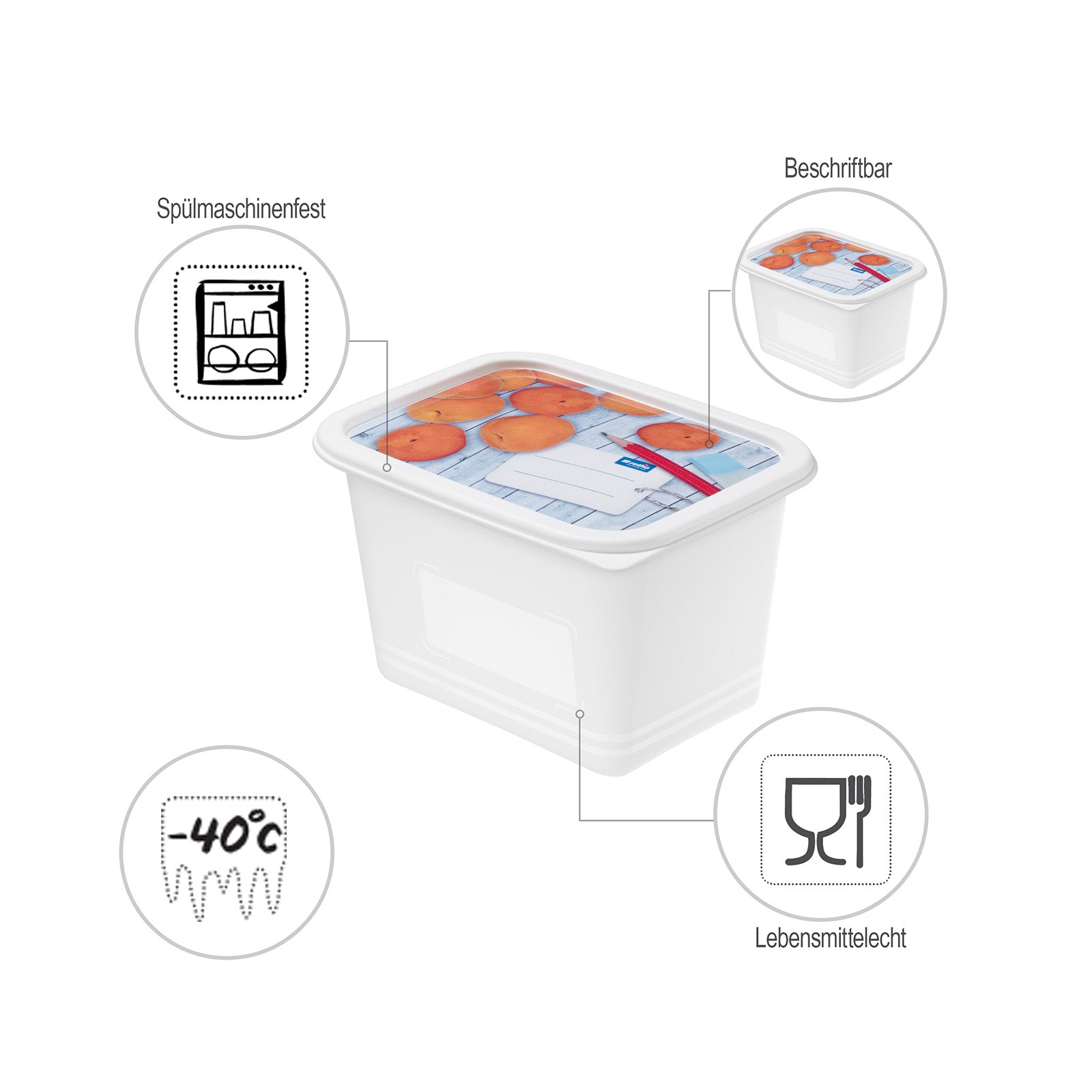 rotho-domino-gefrierdose-1-l-motiv-4er-set-bpa-frei image 5