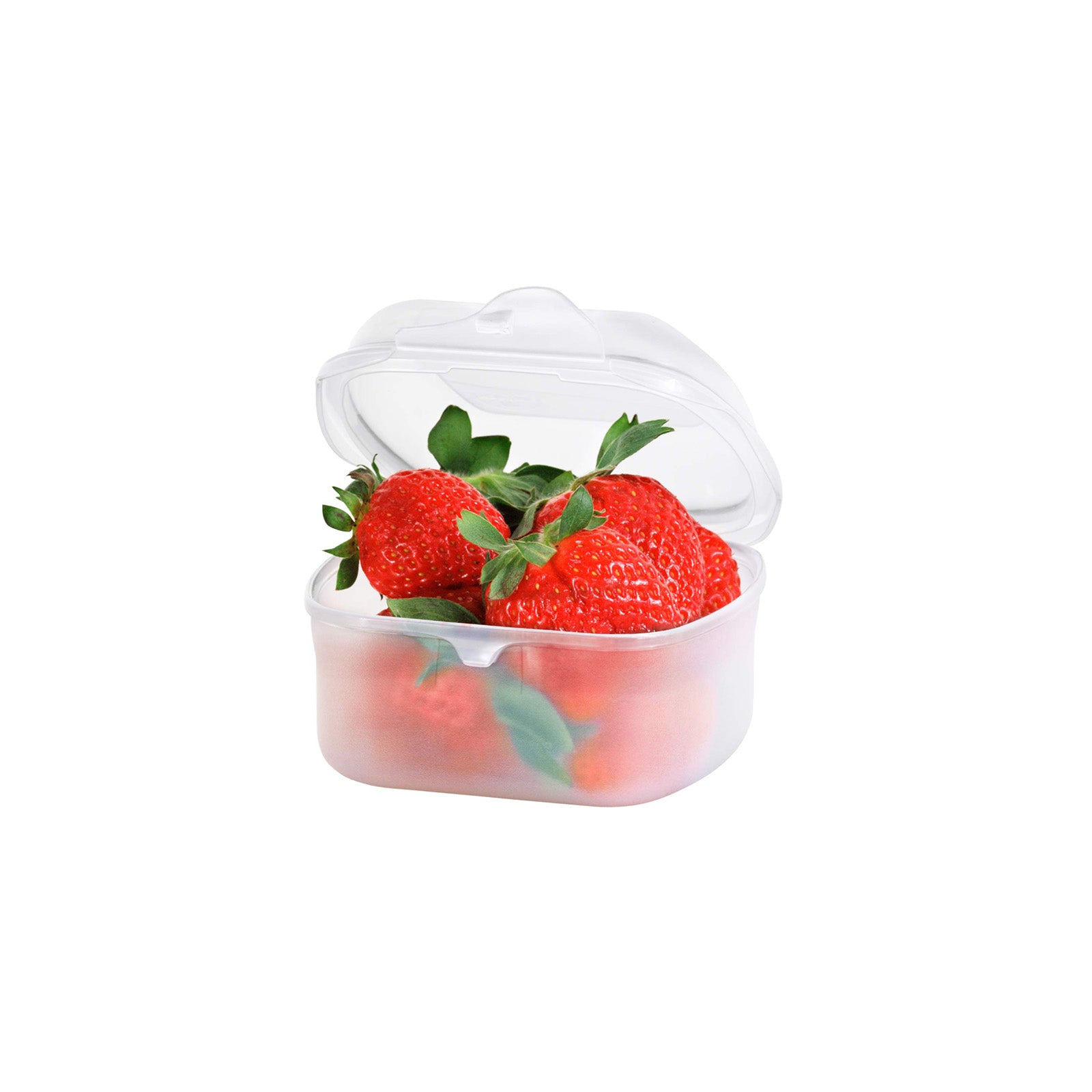rotho-fun-funbox-lunchbox-0-45l-transparent-lebensmittelecht image 2