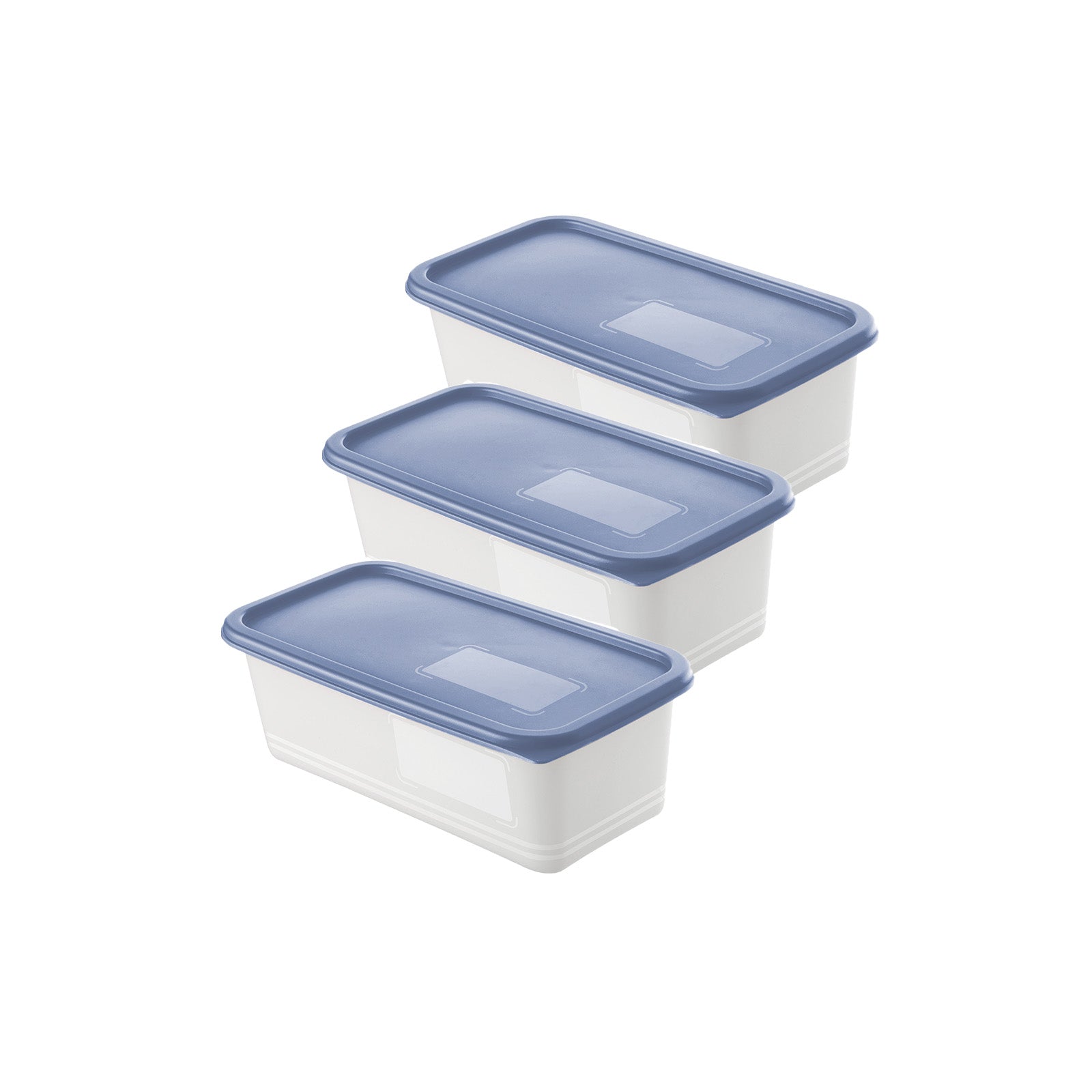 rotho-domino-gefrierdosen-set-3x-1-2-l-horizontblau image 4