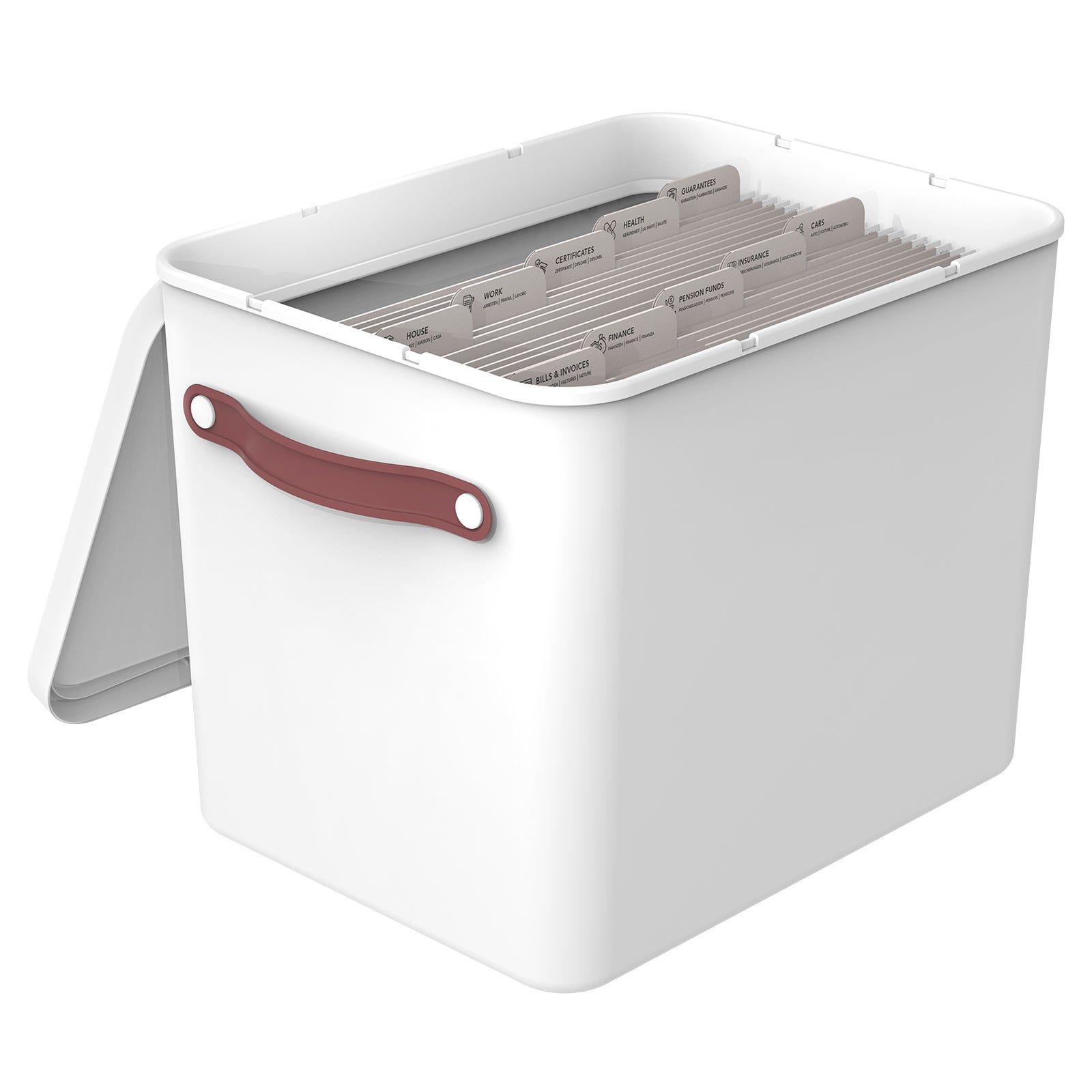rotho-my-paper-plus-archivbox-din-a4-mistelwei-mit-mappen image 1