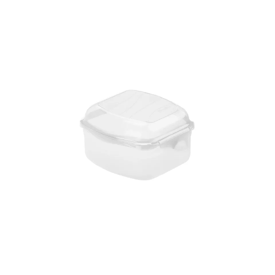 rotho-fun-funbox-lunchbox-0-45l-transparent-lebensmittelecht image 1