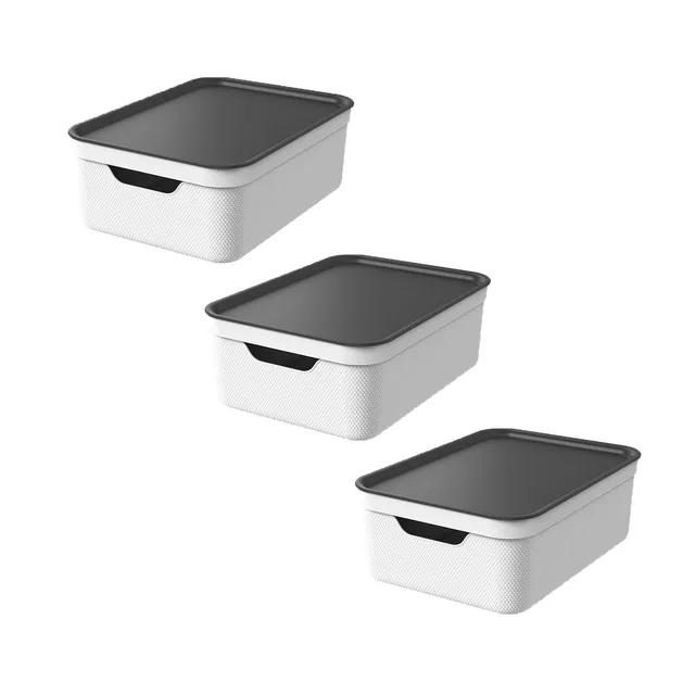rotho-jive-deko-box-a4-10-l-mistelwei-mit-deckel-stapelbar image 1