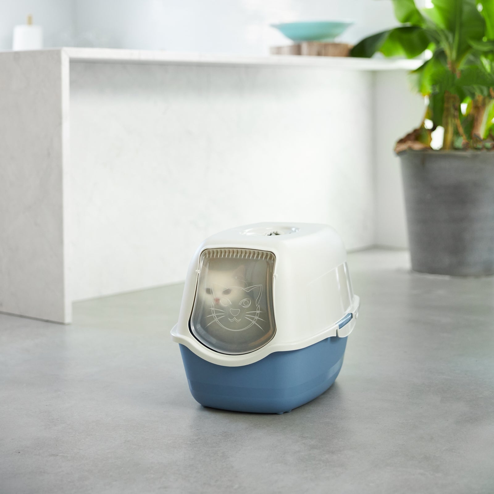 rotho-bailey-katzentoilette-haube-aktivkohlefilter-eco-sand-gr-n image 7