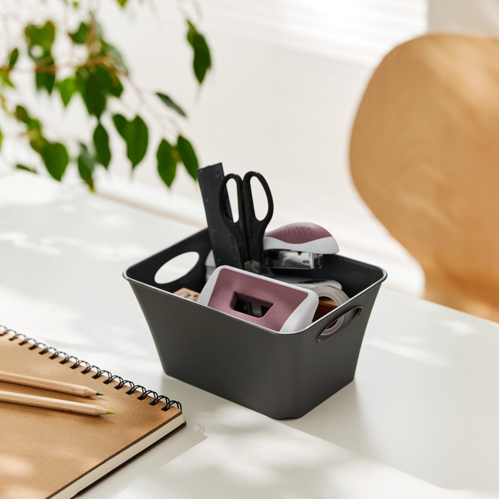 rotho-living-box-1-5-l-aufbewahrungsbox-anthrazit-mit-griff image 2
